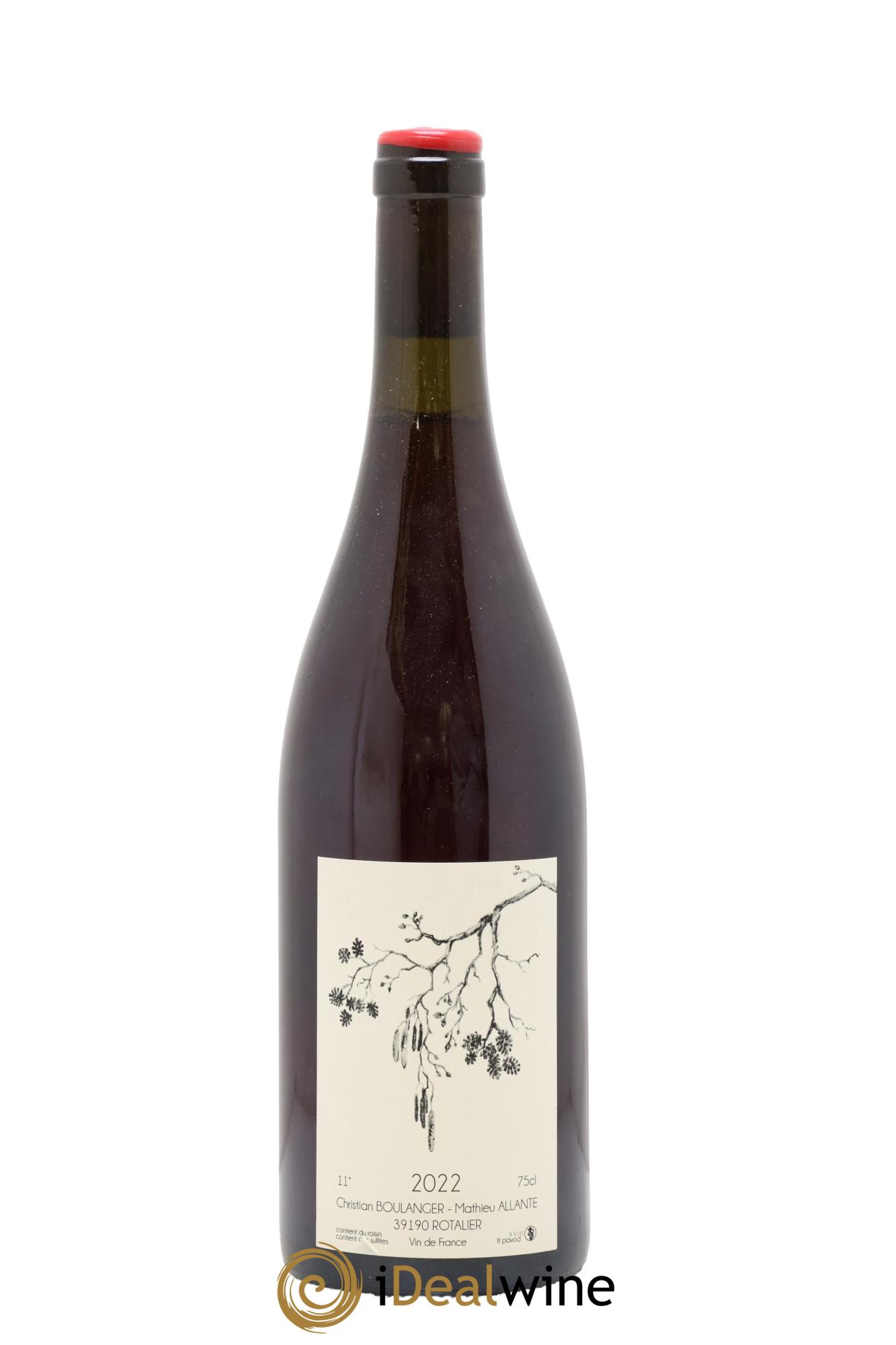 Vin de France Pineau d'Aunis Allante Boulanger 2022 - Lot de 1 bouteille - 0