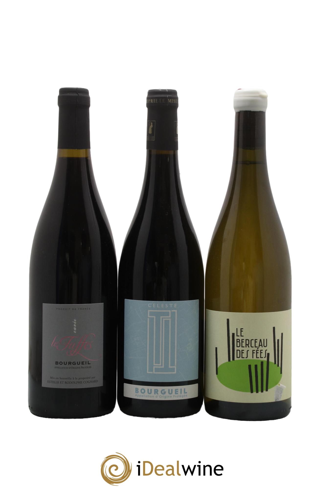 Assortiment de vins d'Anjou noir - Saumur - Bourgueil N°12 - Lot of 6 bottles - 2