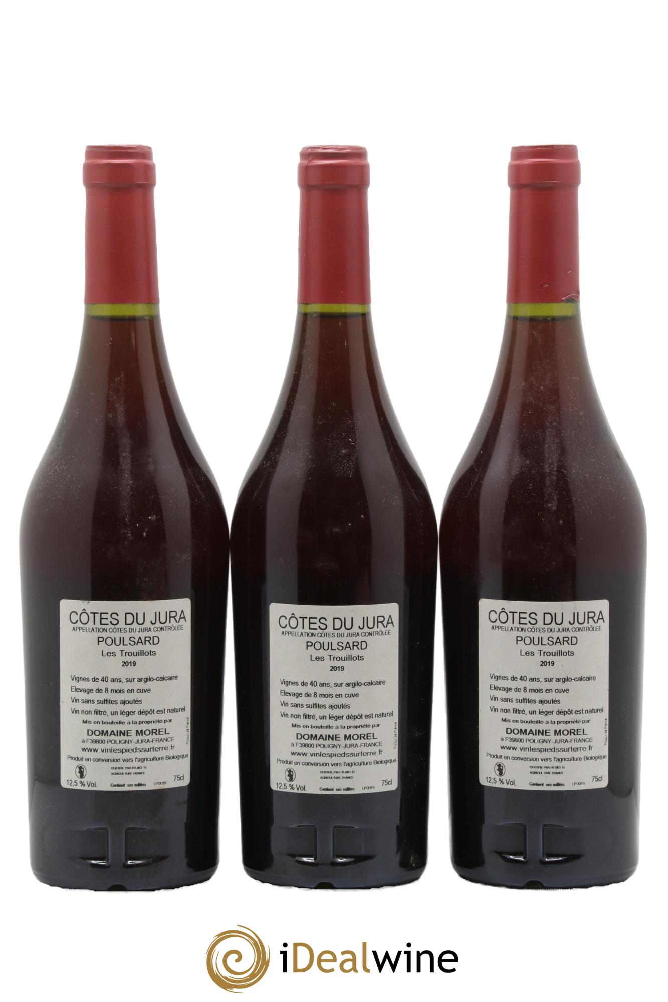 Côtes du Jura Poulsard - Les Trouillots Valentin Morel 2019 - Lot of 3 bottles - 1