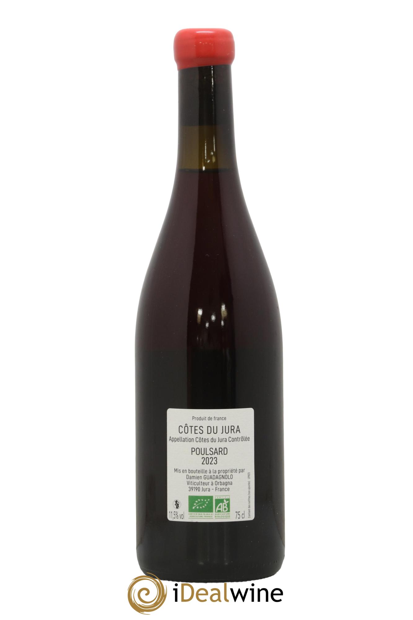 Côtes du Jura Poulsard Damien Guadagnolo 2023 - Lot de 1 bouteille - 1
