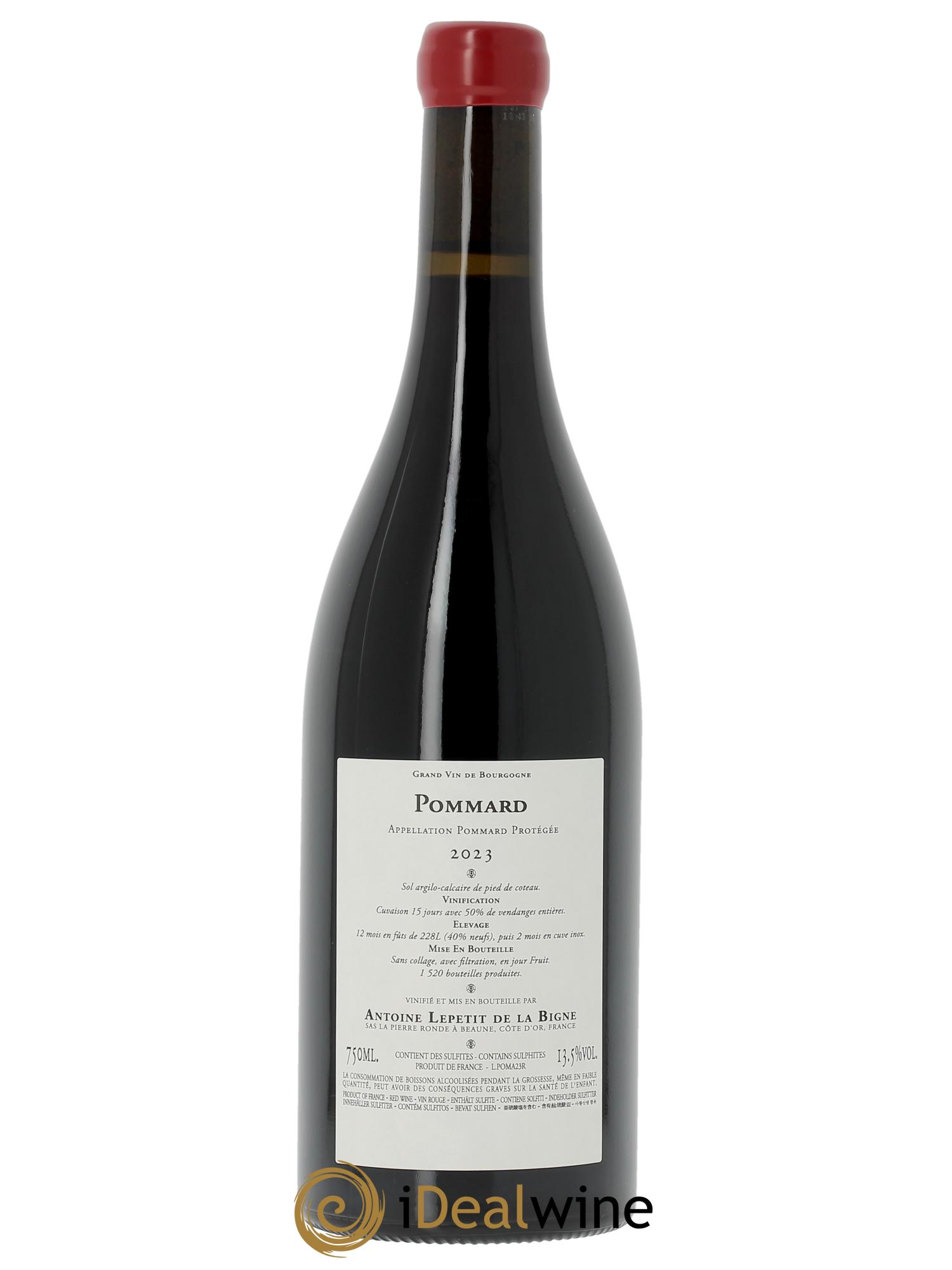 Pommard Antoine Lepetit de la Bigne  2023 - Lot de 1 bouteille - 1