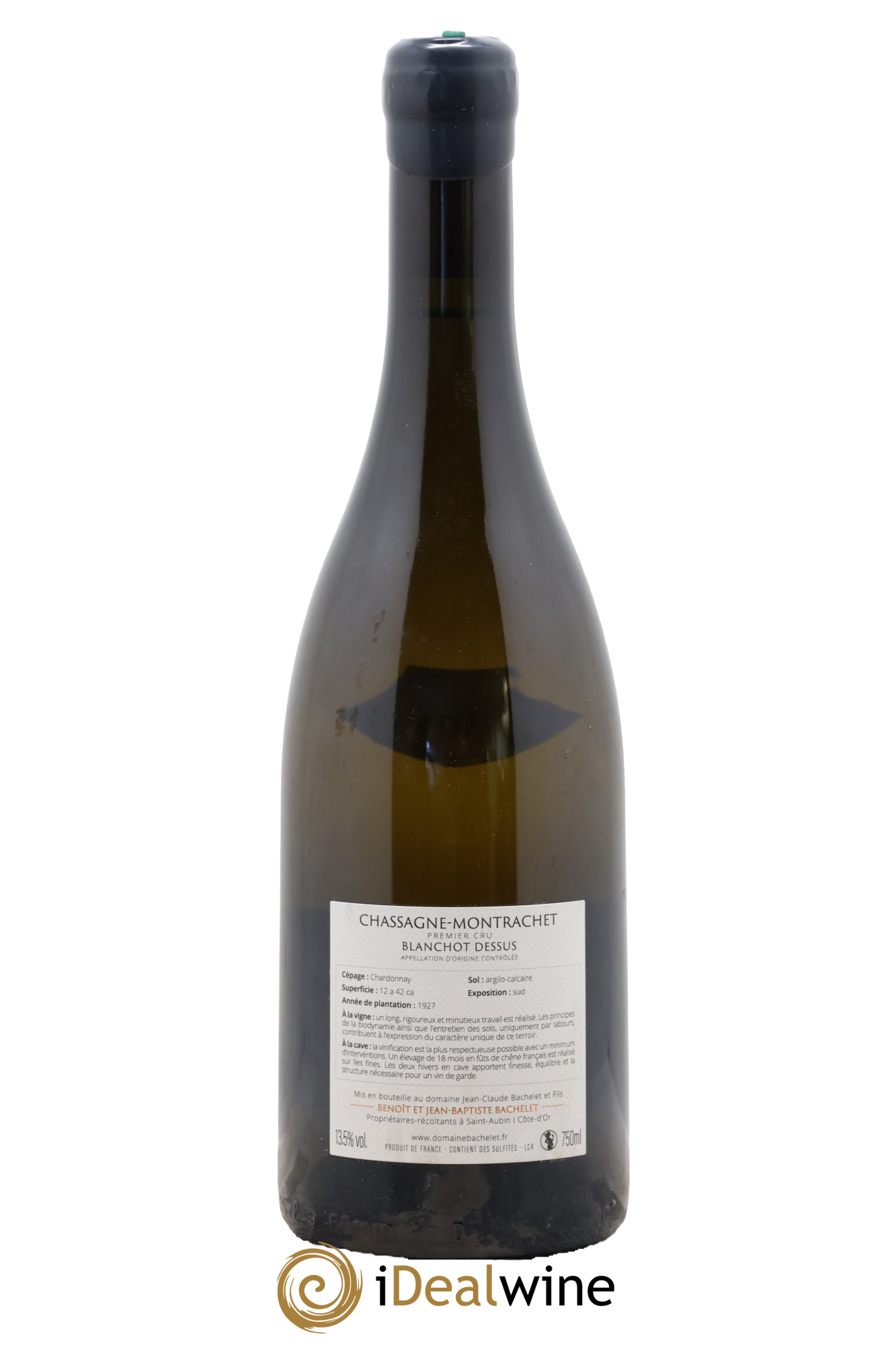 Chassagne-Montrachet 1er Cru Blanchot Dessus Jean-Claude Bachelet (Domaine) 2019 - Posten von 1 Flasche - 1