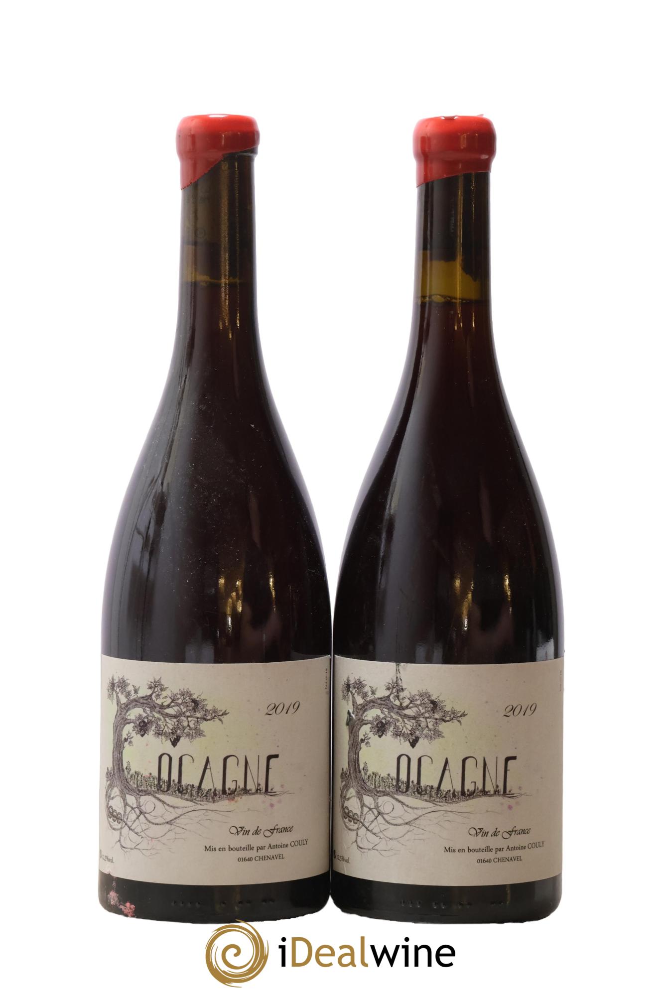 Vin de France Bugey Cocagne Antoine Couly 2019 - Posten von 2 Flaschen - 0