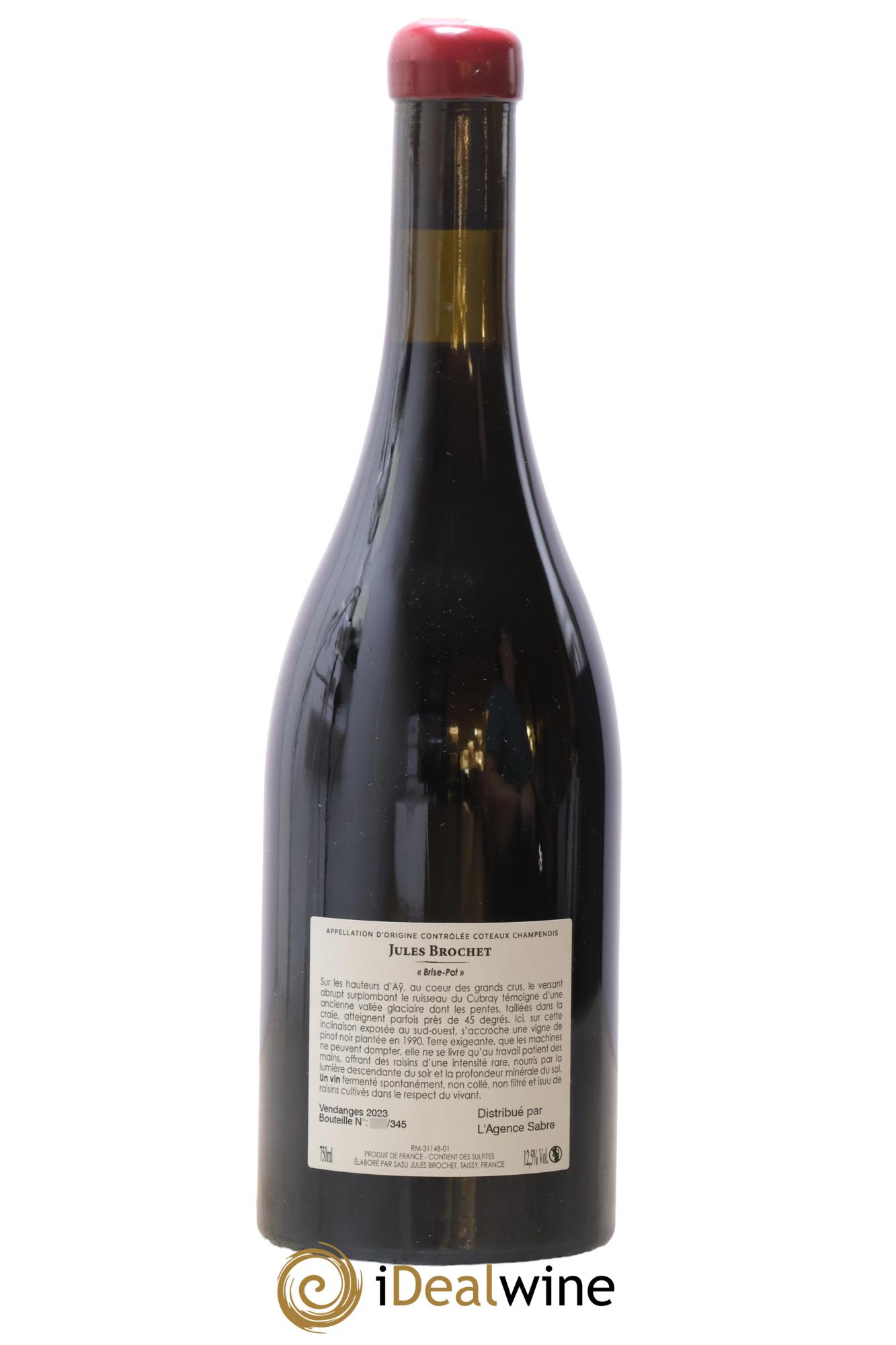 Coteaux Champenois Ay Brise pot Domaine Jules Brochet 2023 - Lot de 1 bouteille - 1