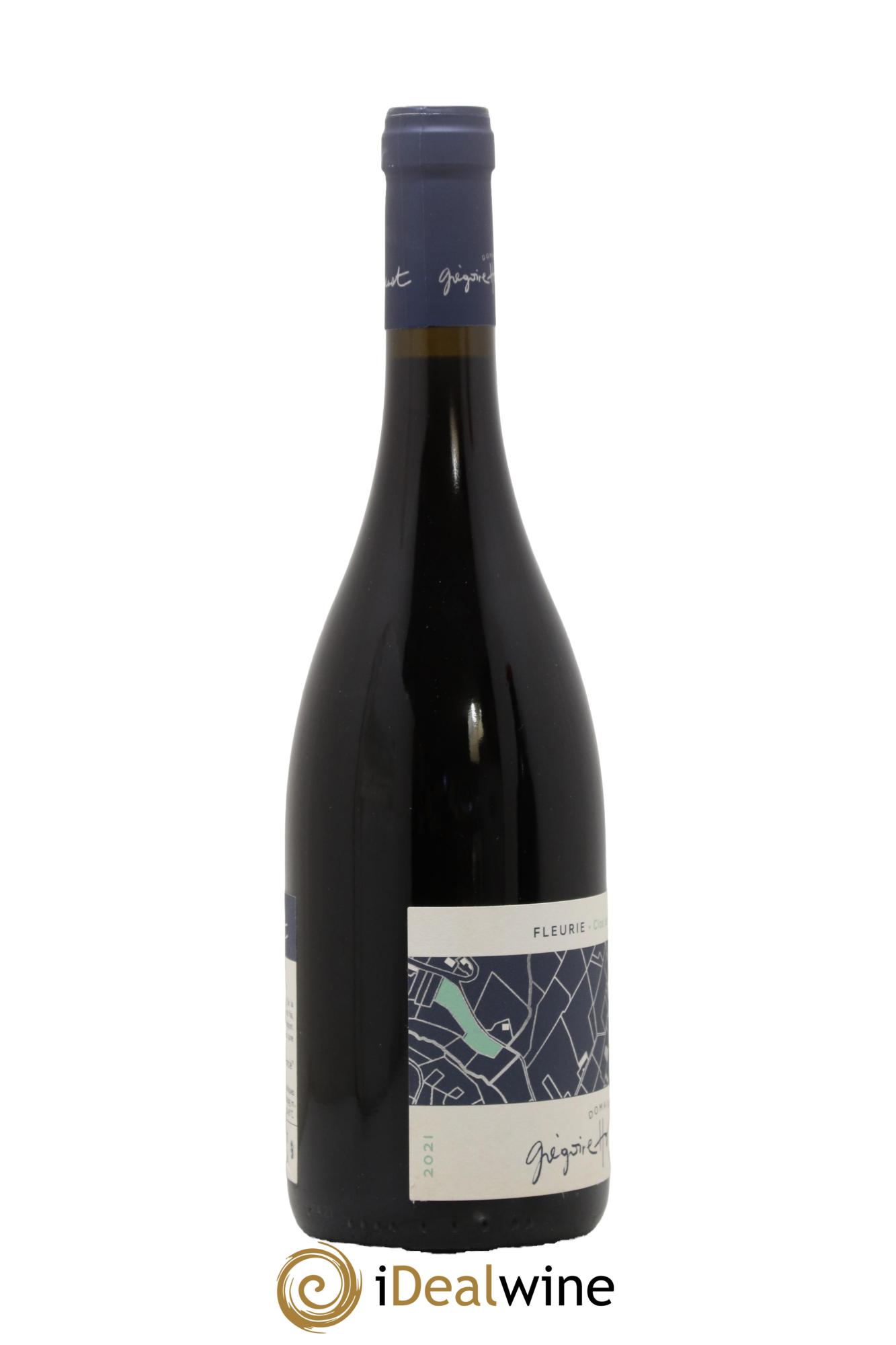 Fleurie Clos de l'Amandier Grégoire Hoppenot (Domaine)  2021 - Lotto di 1 bottiglia - 1