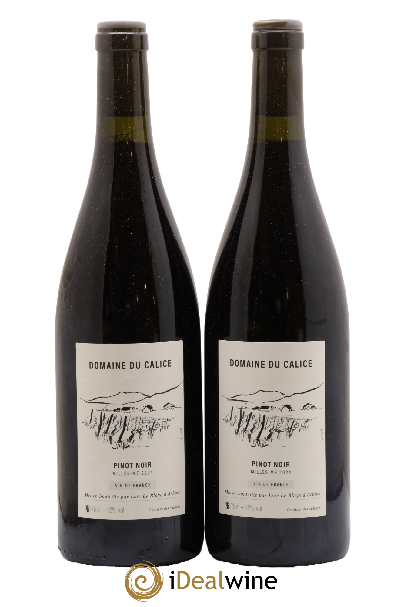 Vin de France Pinot Noir Calice (Domaine du) 2024 - Posten von 2 Flaschen - 0
