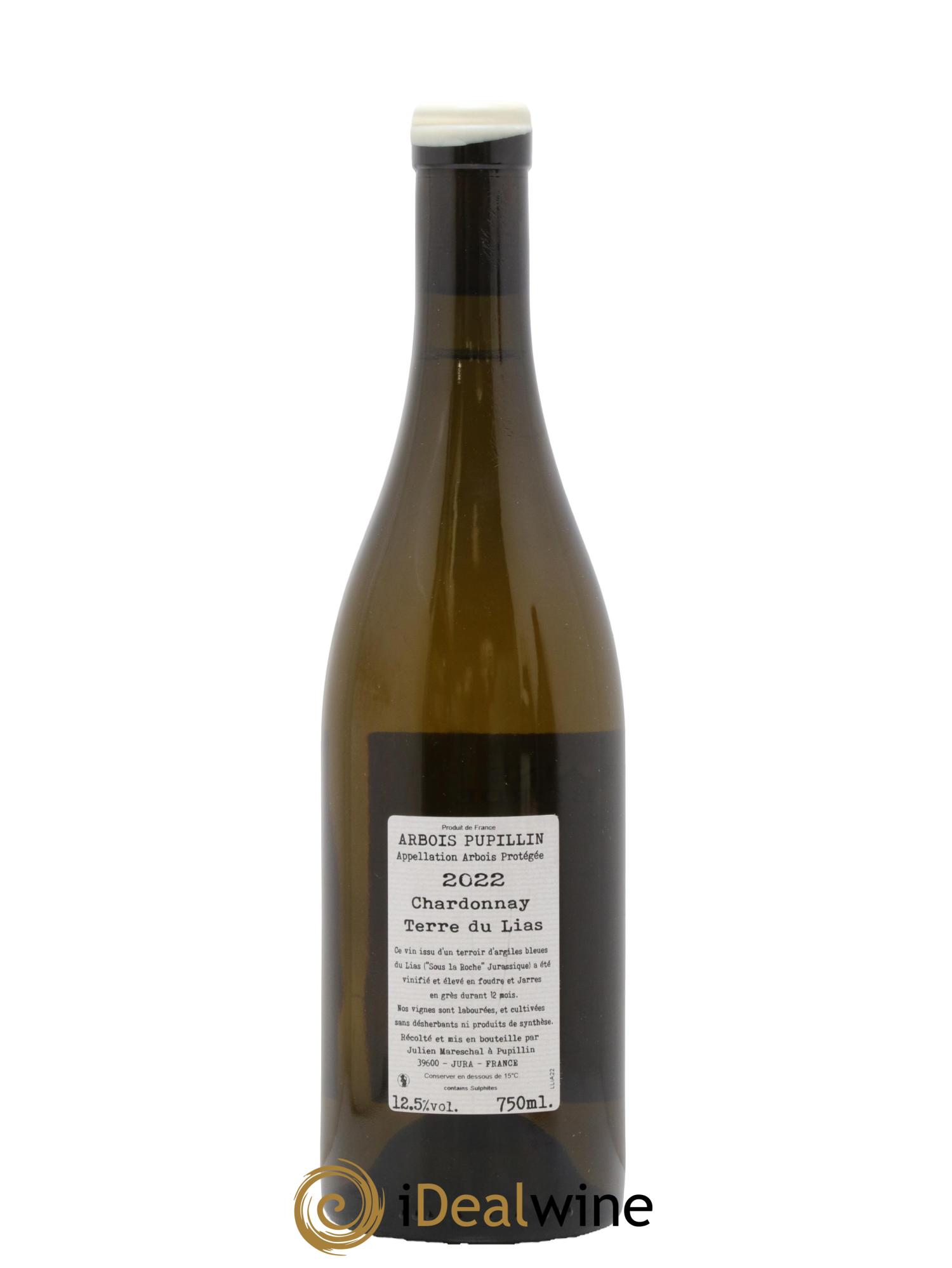 Arbois-Pupillin Chardonnay Terre du Lias Domaine de la Borde 2022 - Lot of 1 bottle - 1