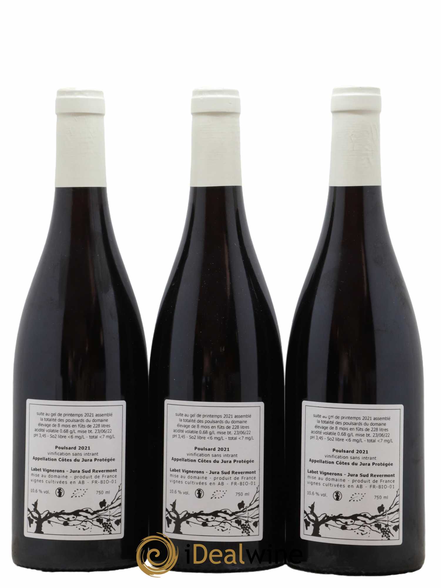Côtes du Jura Poulsard Labet 2021 - Lot de 3 bouteilles - 1