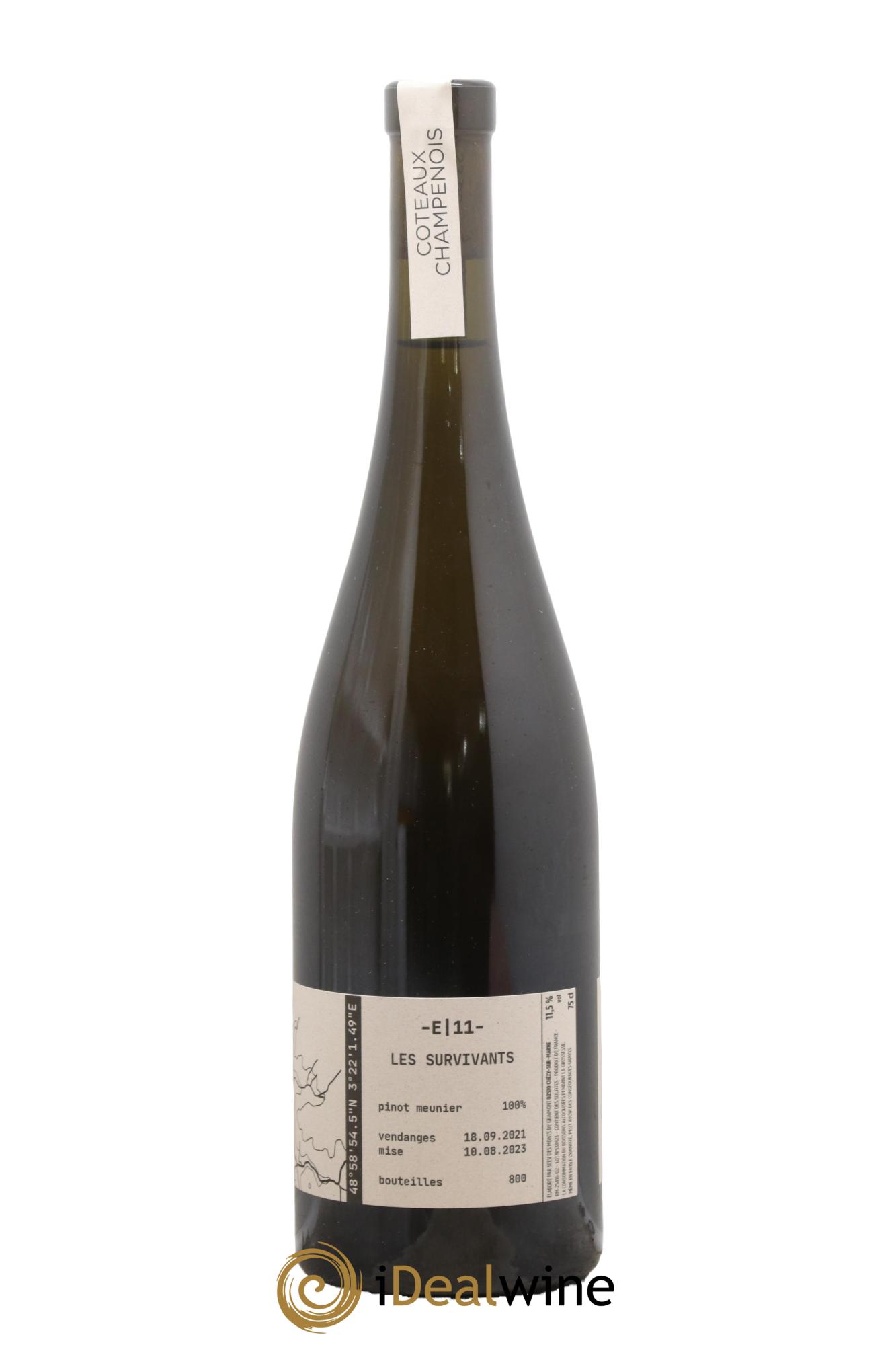Coteaux Champenois E 11 Les Survivants Maison Tom Gauditiabois 2021 - Posten von 1 Flasche - 1