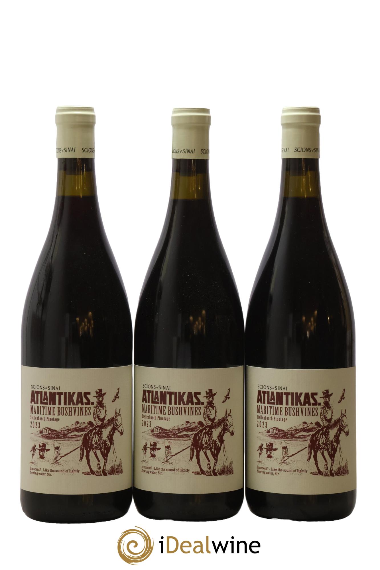 Afrique du Sud Atlantikas Maritime Bushvines Pinotage Scions of Sinai 2023 - Lot de 3 bouteilles - 0