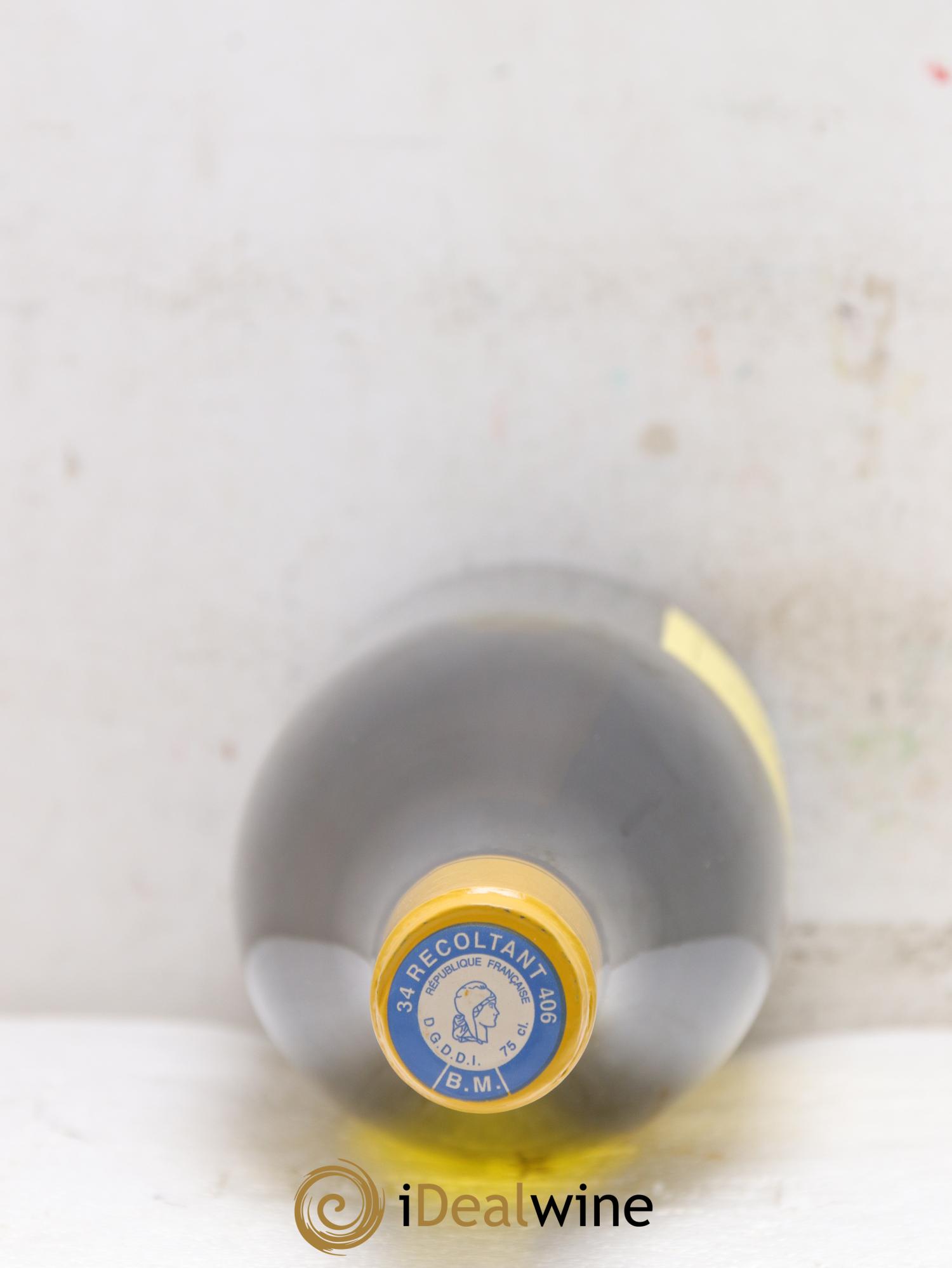 Pays d'Hérault Grange des Pères Laurent Vaillé 2016 - Lot de 2 bouteilles - 1