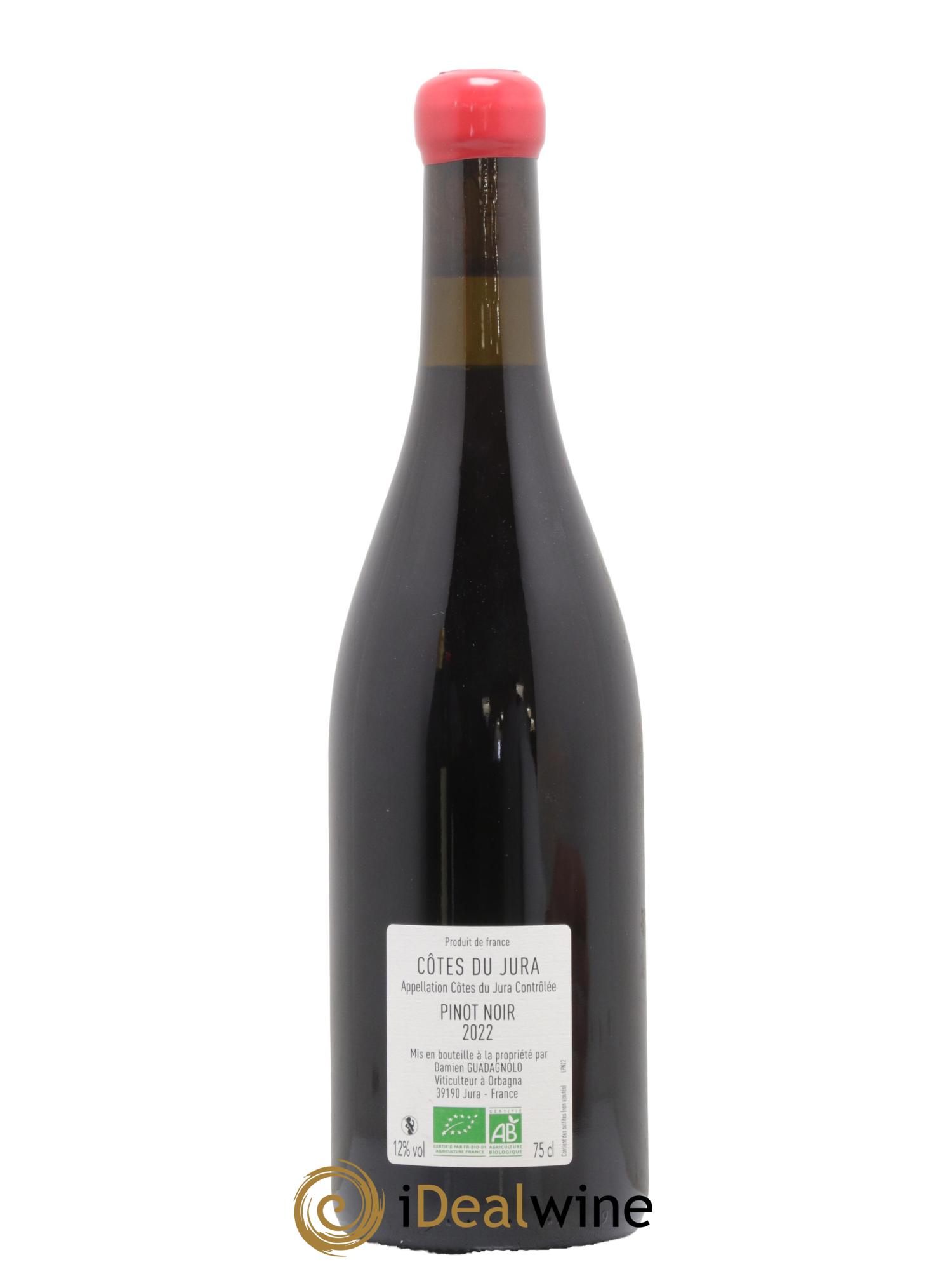Côtes du Jura Pinot Noir Domaine Damien Guadagnolo 2022 - Lotto di 1 bottiglia - 1