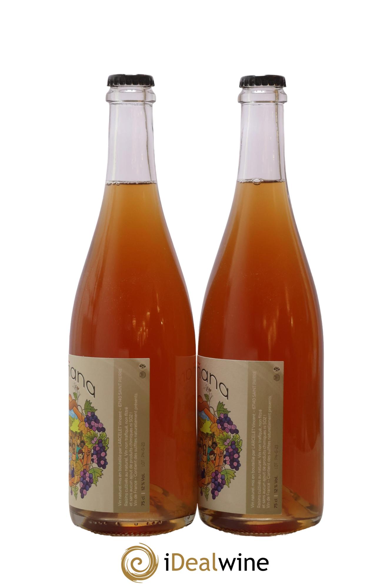 Vin de France Manana Domaine Du Petit Bouchon 2023 - Lot de 2 bouteilles - 1