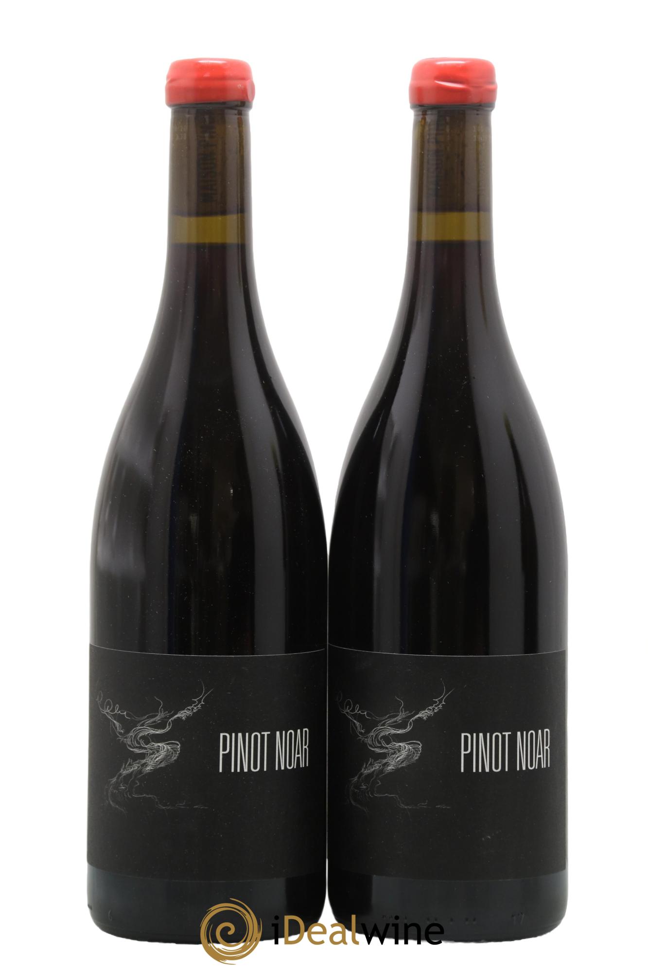 Hautes-Côtes de Nuits Pinot Noar Arnaud Lopez 2023 - Lot of 2 bottles - 0