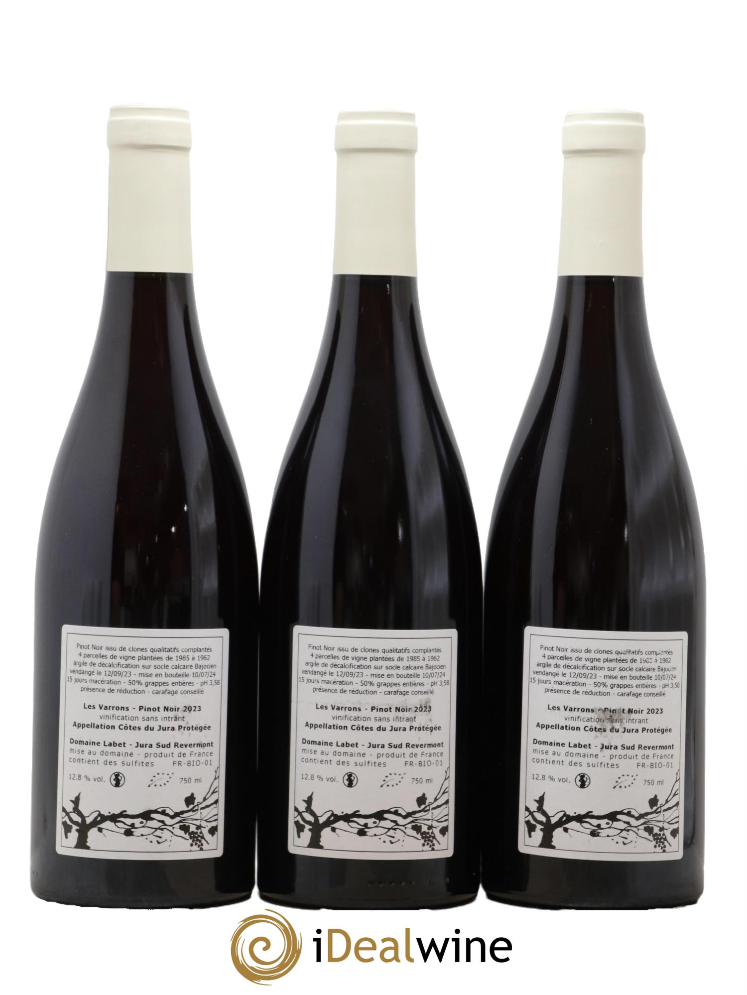 Côtes du Jura Pinot Noir Les Varrons Sélection Massale Romain - Julien  - Charline Labet 2023 - Lot de 3 bouteilles - 1