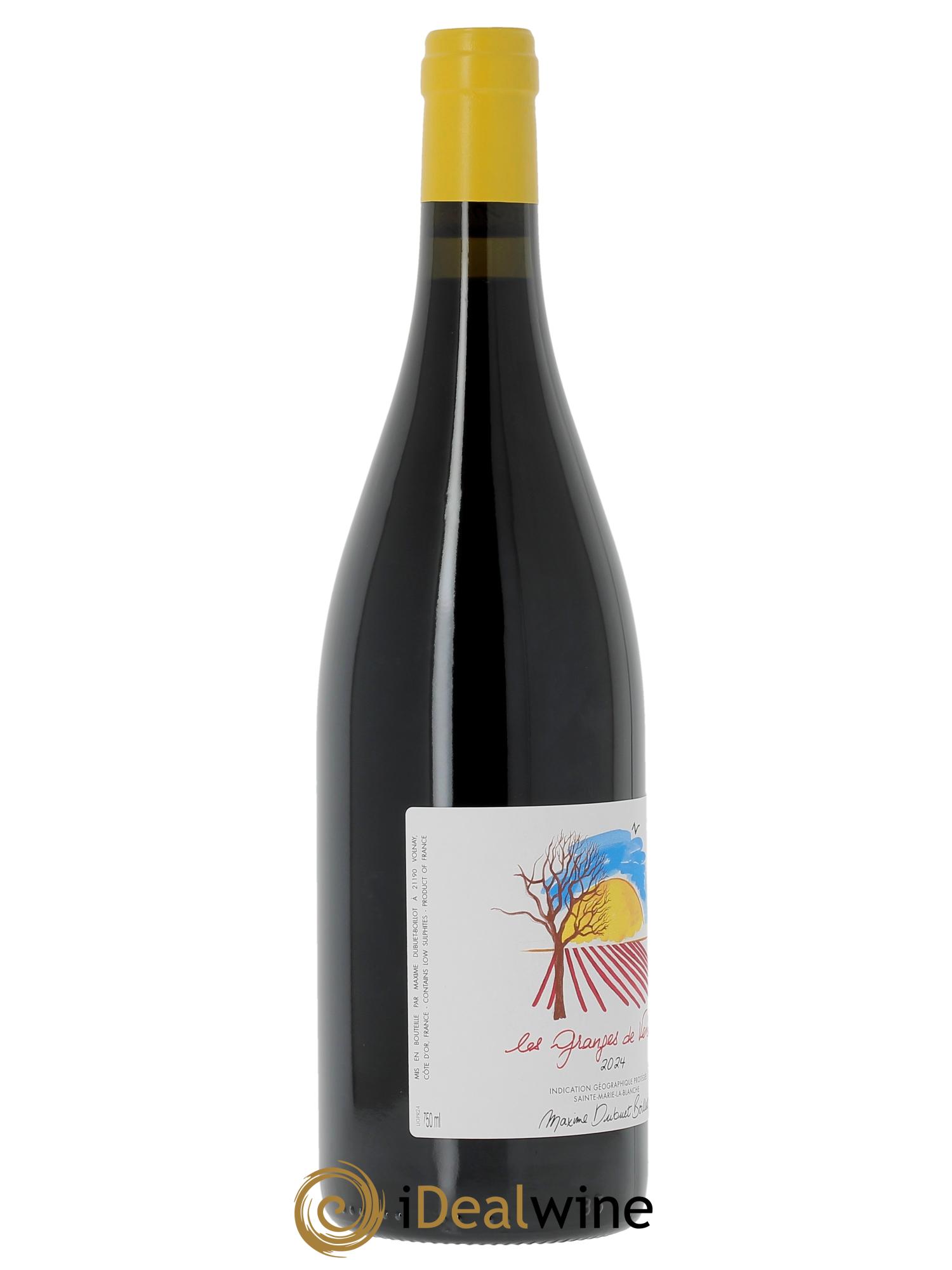 IGP Sainte-Marie-La-Blanche Les Granges de Verbaut Maxime Dubuet Boillot  2024 - Lotto di 1 bottiglia - 2