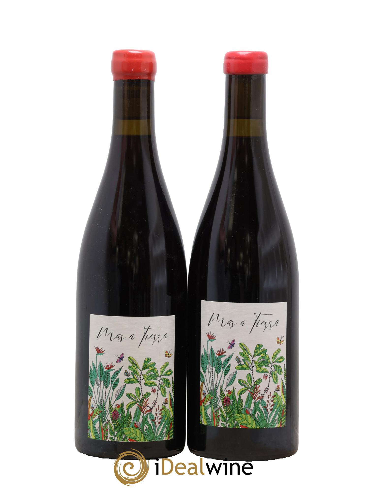 Coteaux Bourguignons Mas a Tierra Domaine de la Petite Empreinte 2022 - Lotto di 2 bottiglie - 0