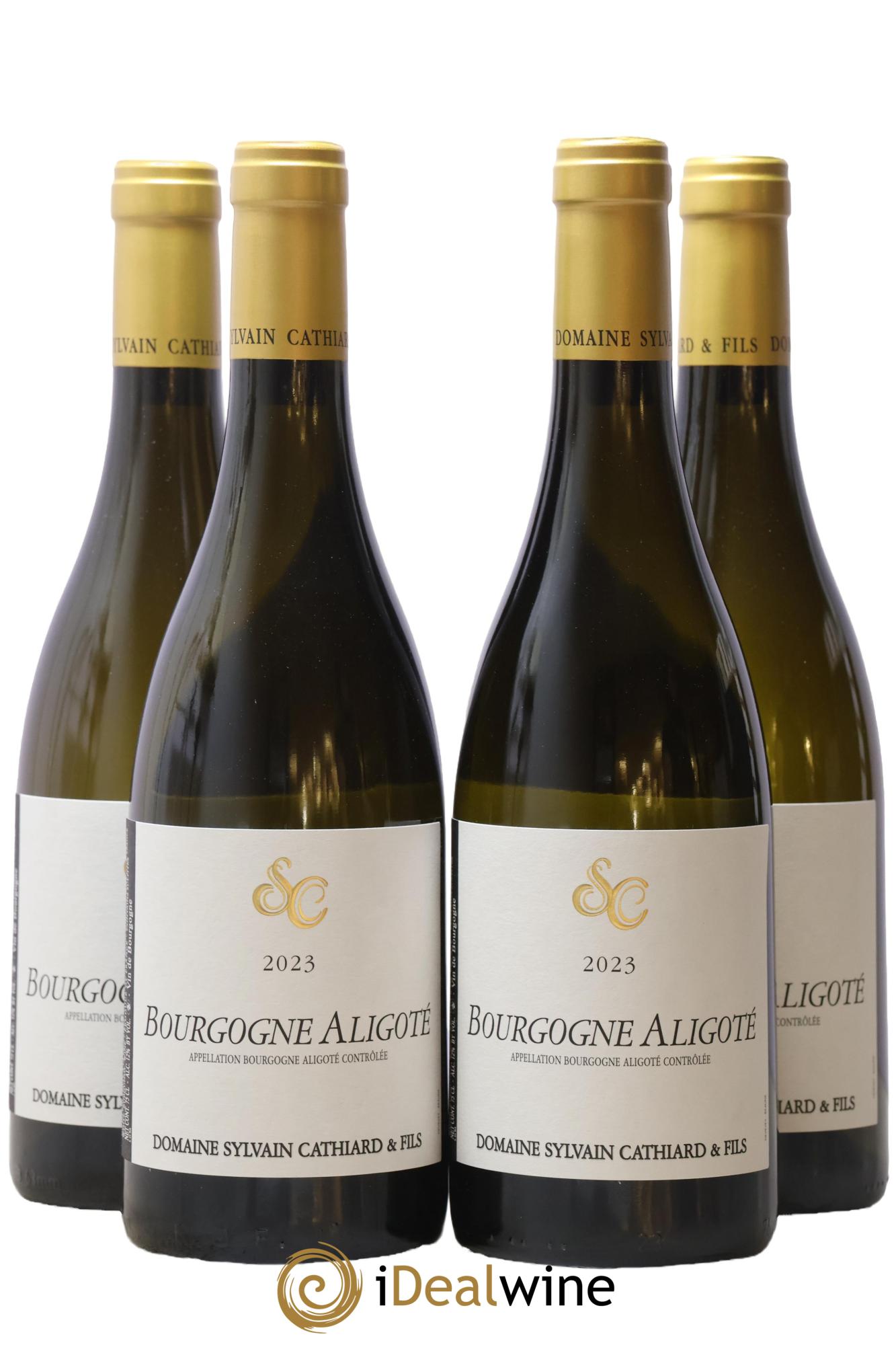 Bourgogne Aligoté Sylvain Cathiard & Fils 2023 - Lot of 4 bottles - 0