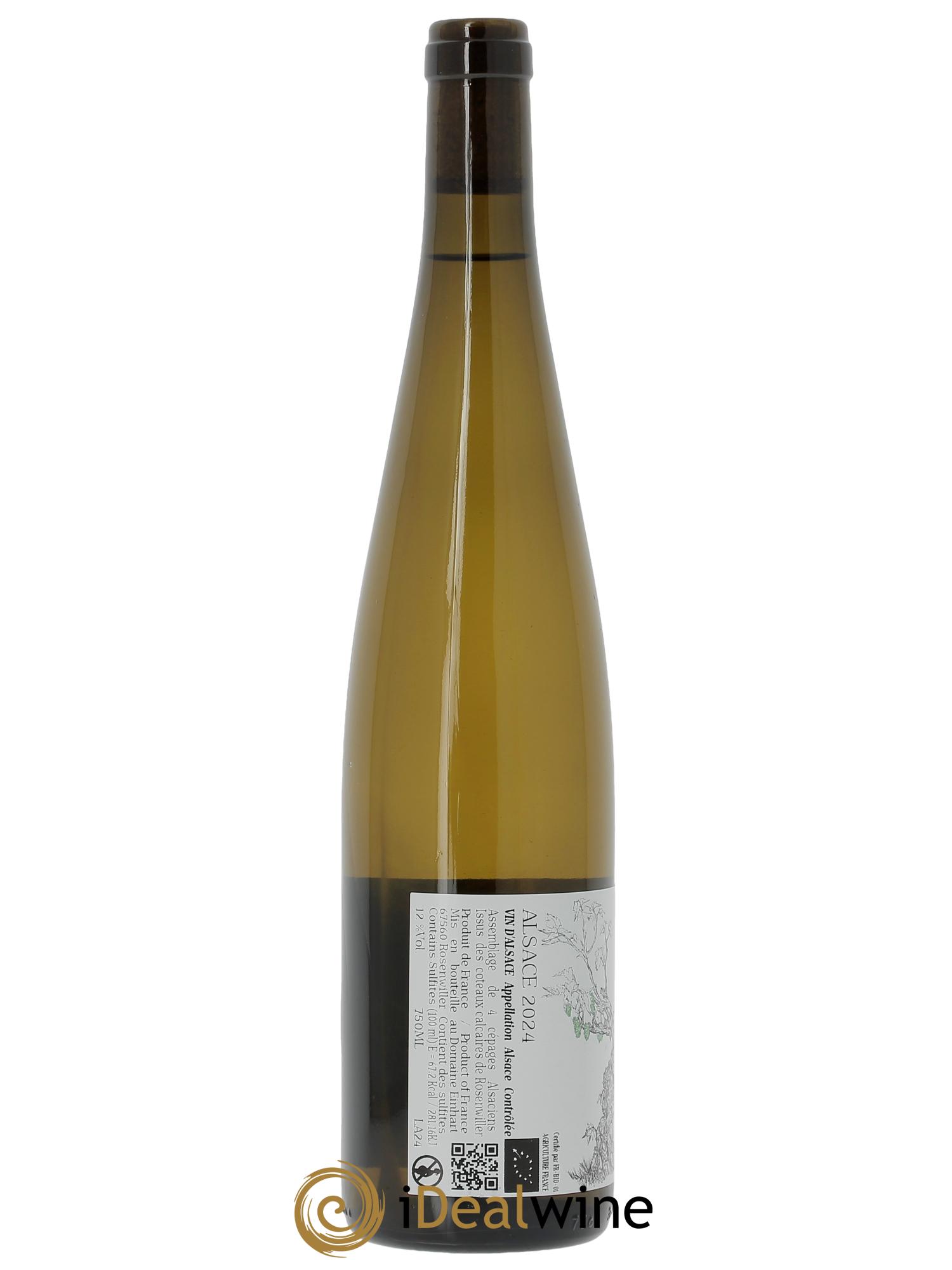 Alsace Théo Einhart  2024 - Lotto di 1 bottiglia - 1