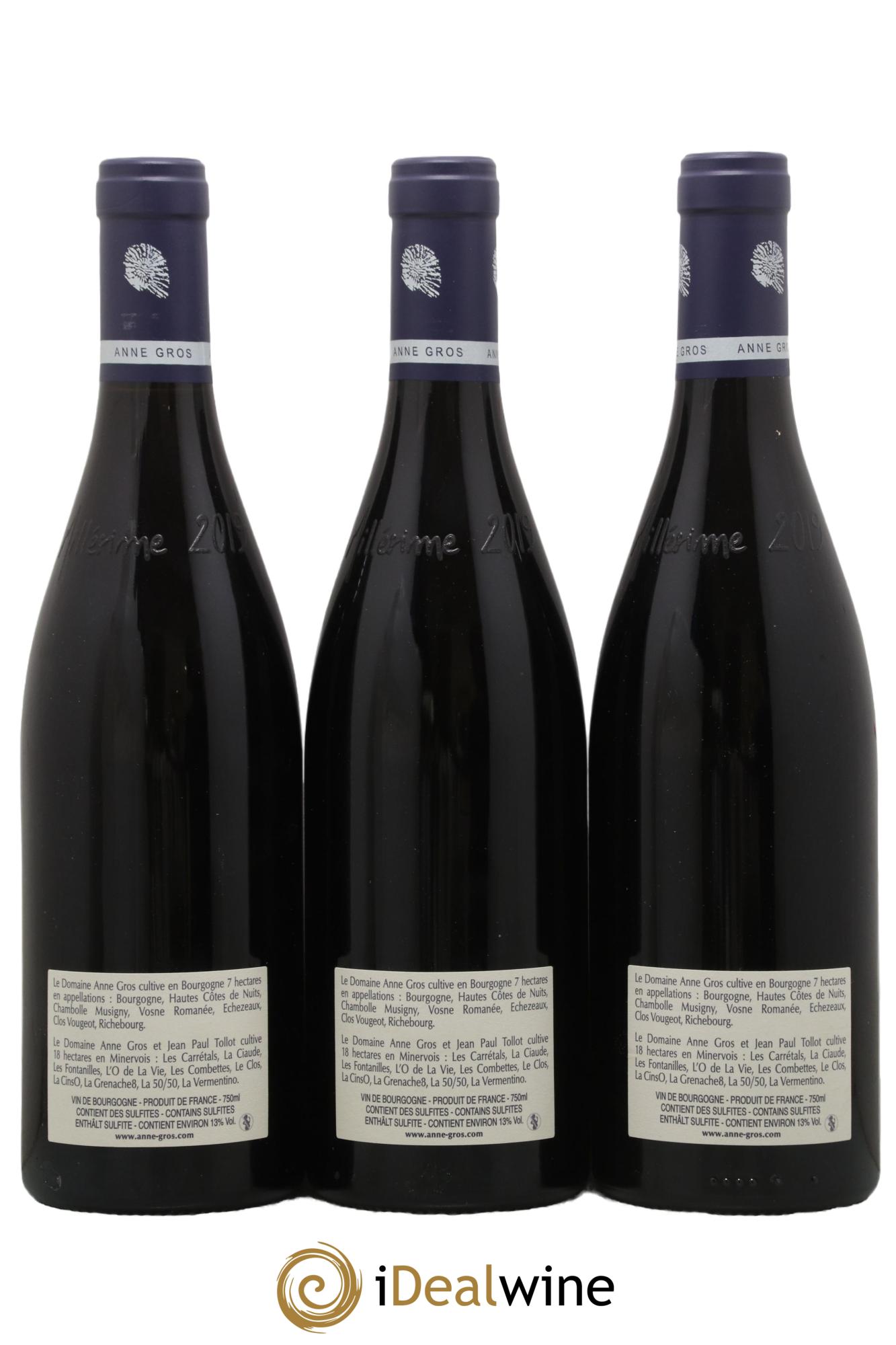 Echezeaux Grand Cru Les Loachausses Anne Gros 2019 - Lot of 3 bottles - 1