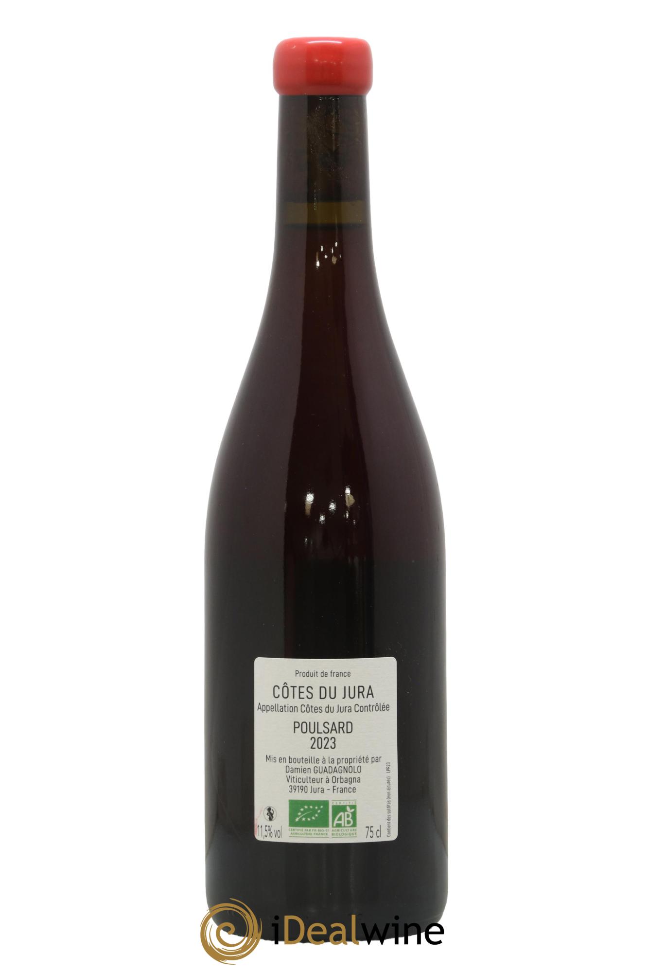 Côtes du Jura Poulsard Damien Guadagnolo 2023 - Lot de 1 bouteille - 1