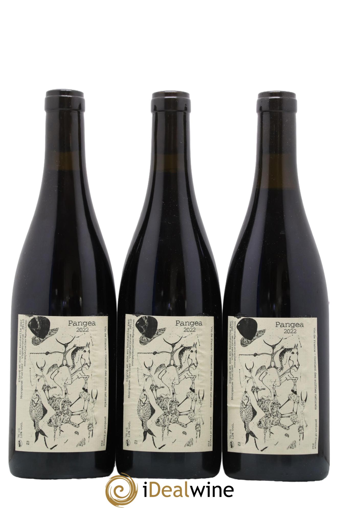 Vin de France Pangea Morgane Turlier 2022 - Lot de 3 bouteilles - 0