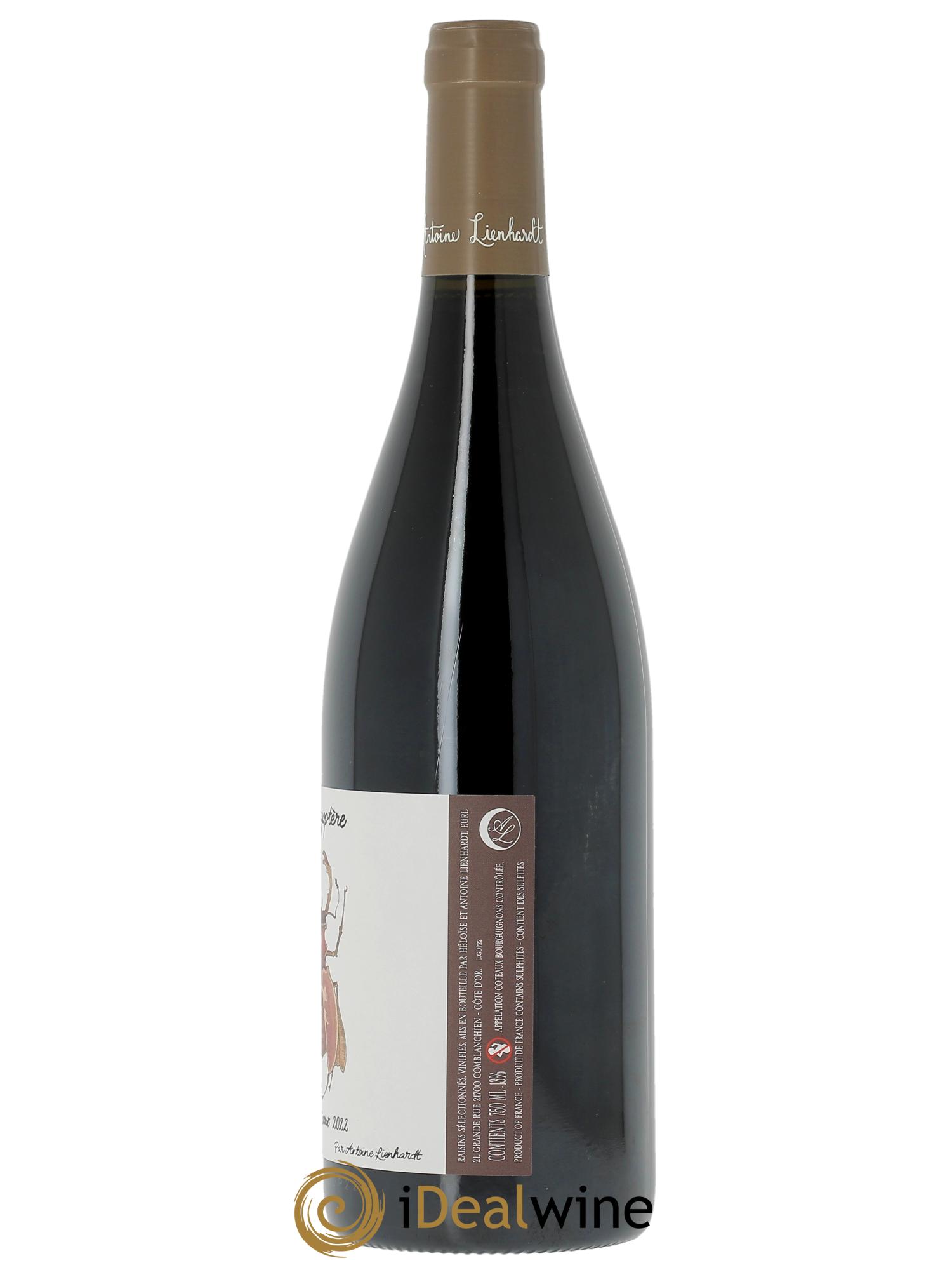 Coteaux Bourguignons Gamayoptère Antoine Lienhardt 2022 - Lot de 1 bouteille - 1