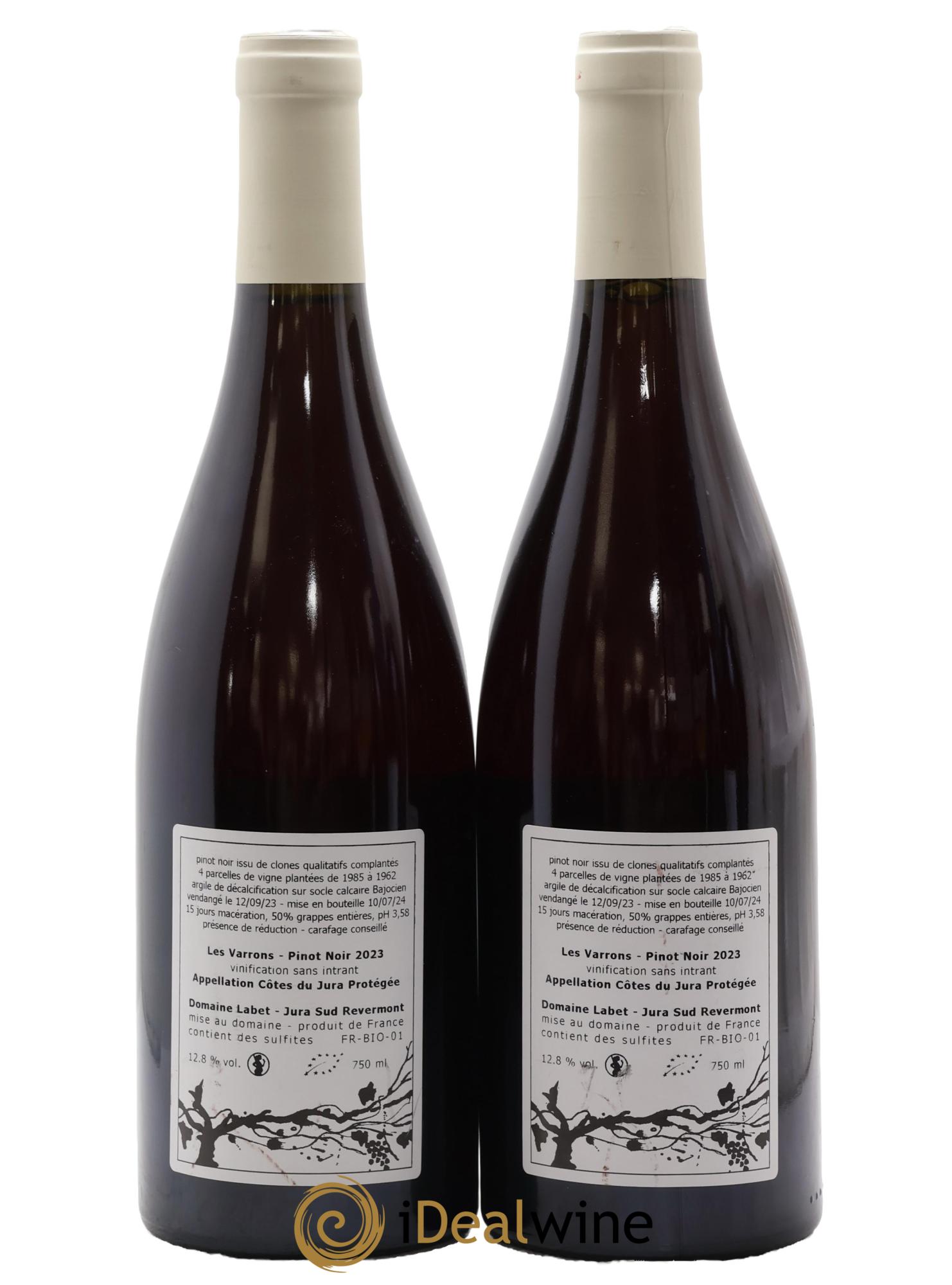 Côtes du Jura Pinot Noir Les Varrons Romain - Julien - Charline Labet 2023 - Posten von 2 Flaschen - 1