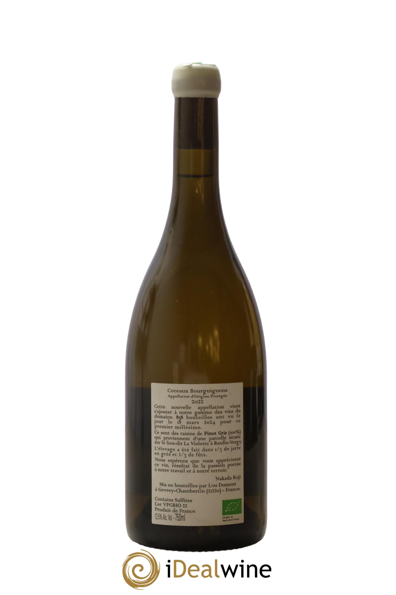Coteaux Bourguignons Pinot Gris La Violette Koji Nakada 2022 - Lot de 1 bouteille - 1