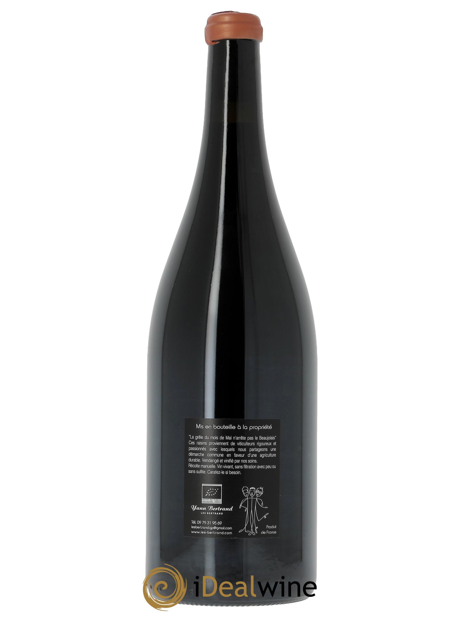 Morgon Iron Yann Bertrand 2025 - Lot de 1 magnum - 2