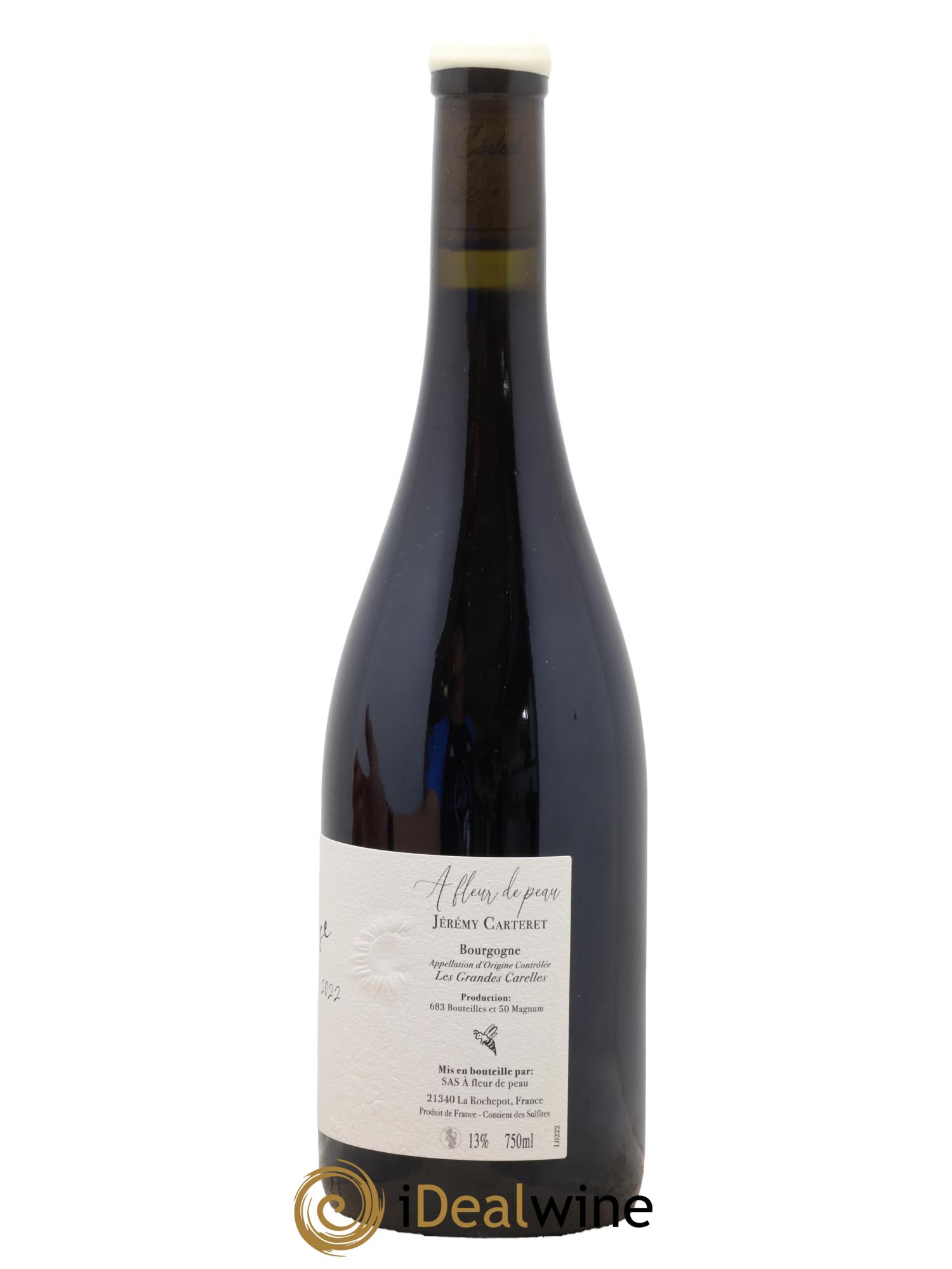 Bourgogne Les Grandes Carelles Jérémy Carteret 2022 - Lotto di 1 bottiglia - 1