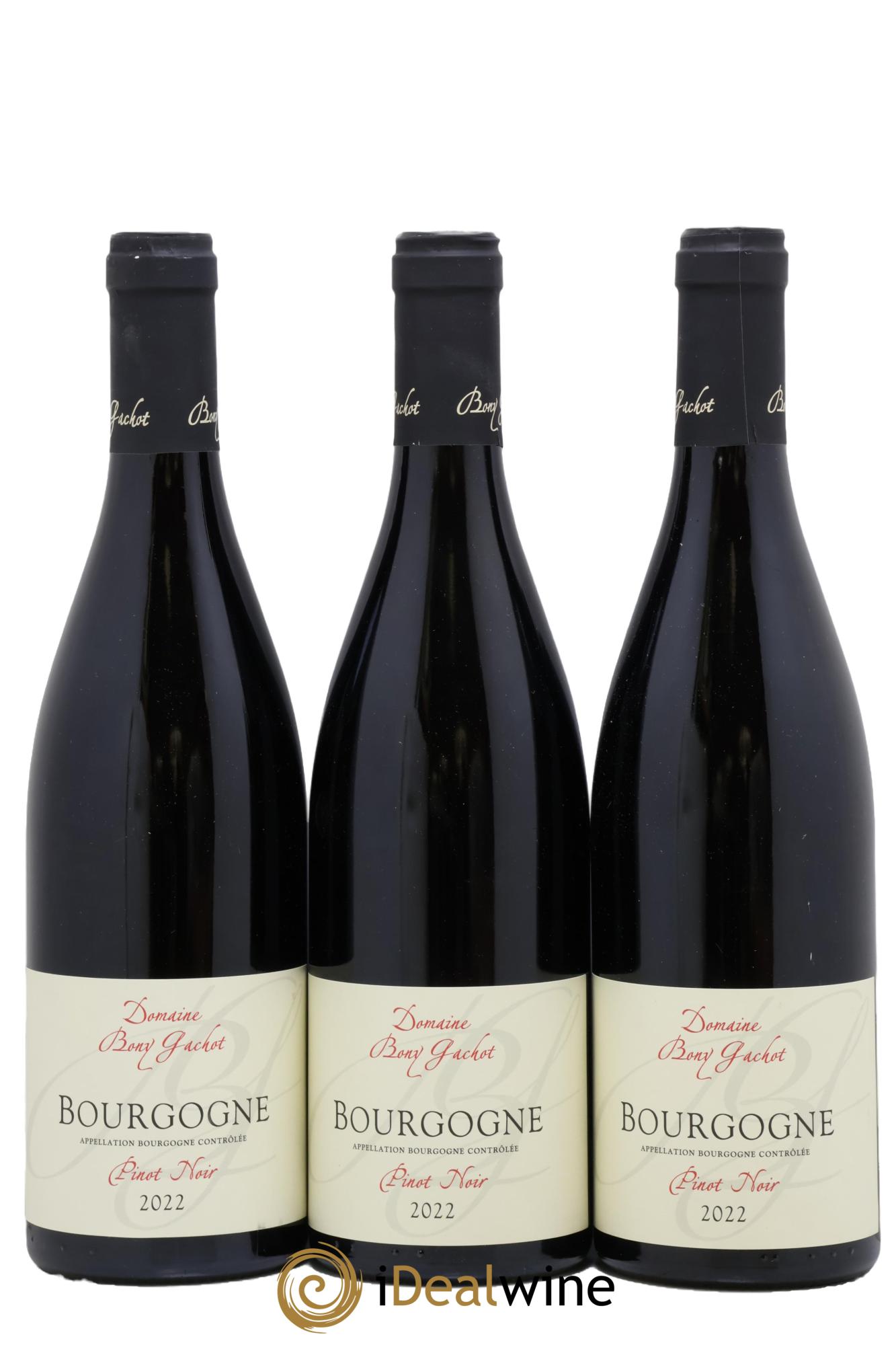 Bourgogne Bony Gachot 2022 - Posten von 3 Flaschen - 0