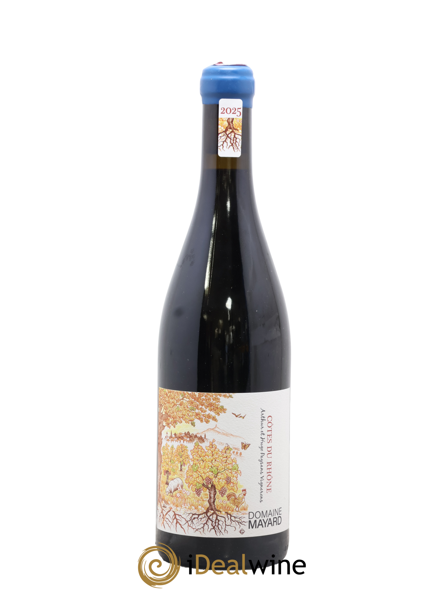 Côtes-du-Rhône Mayard (Domaine) 2025 - Posten von 1 Flasche - 0
