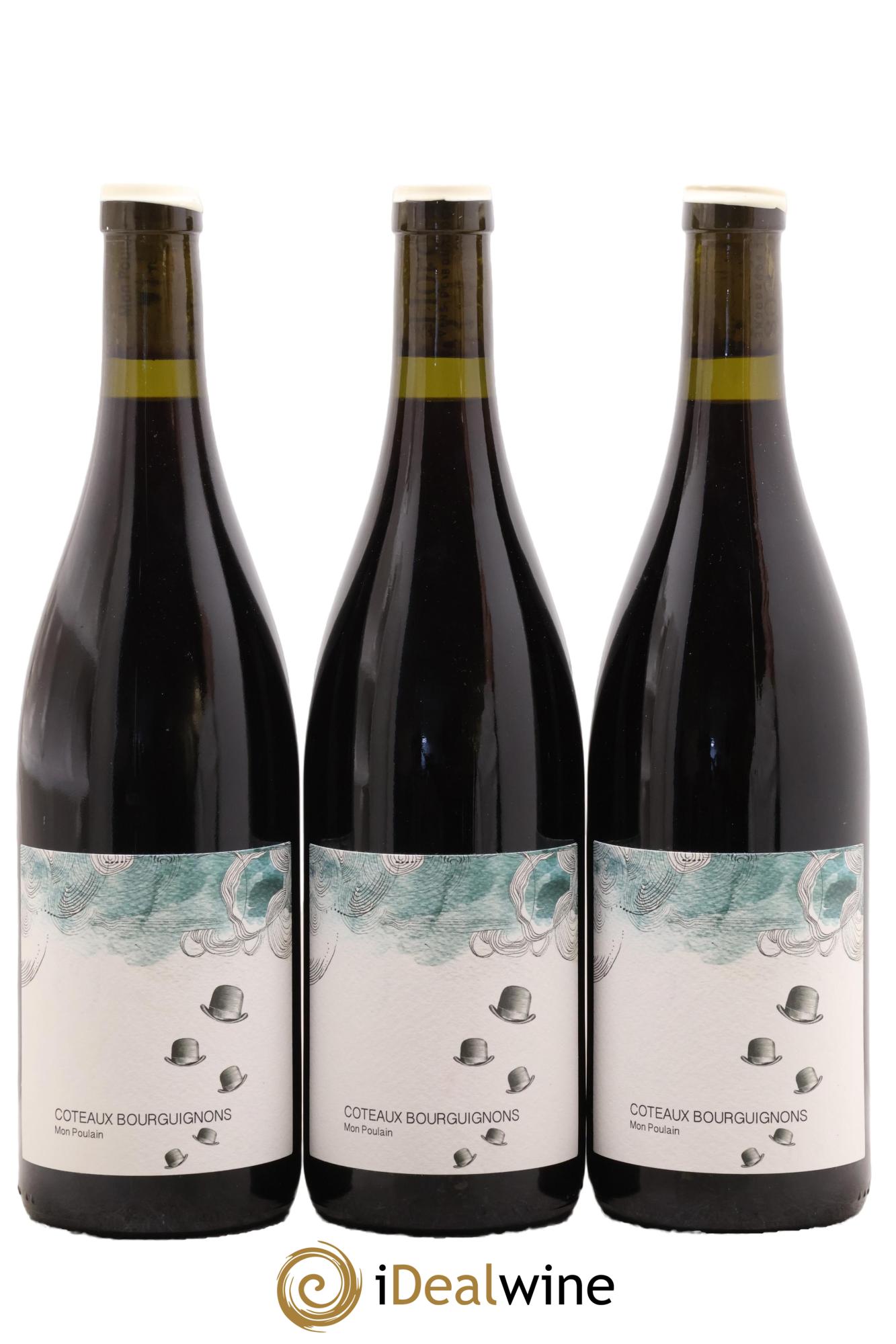 Coteaux Bourguignons Mon Poulain Les Horées 2023 - Lot de 3 bouteilles - 0