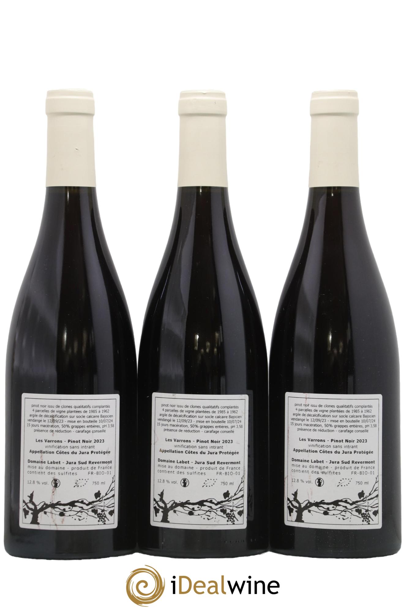 Côtes du Jura Pinot Noir Les Varrons Sélection Clonale Romain - Julien - Charline Labet 2023 - Posten von 3 Flaschen - 1