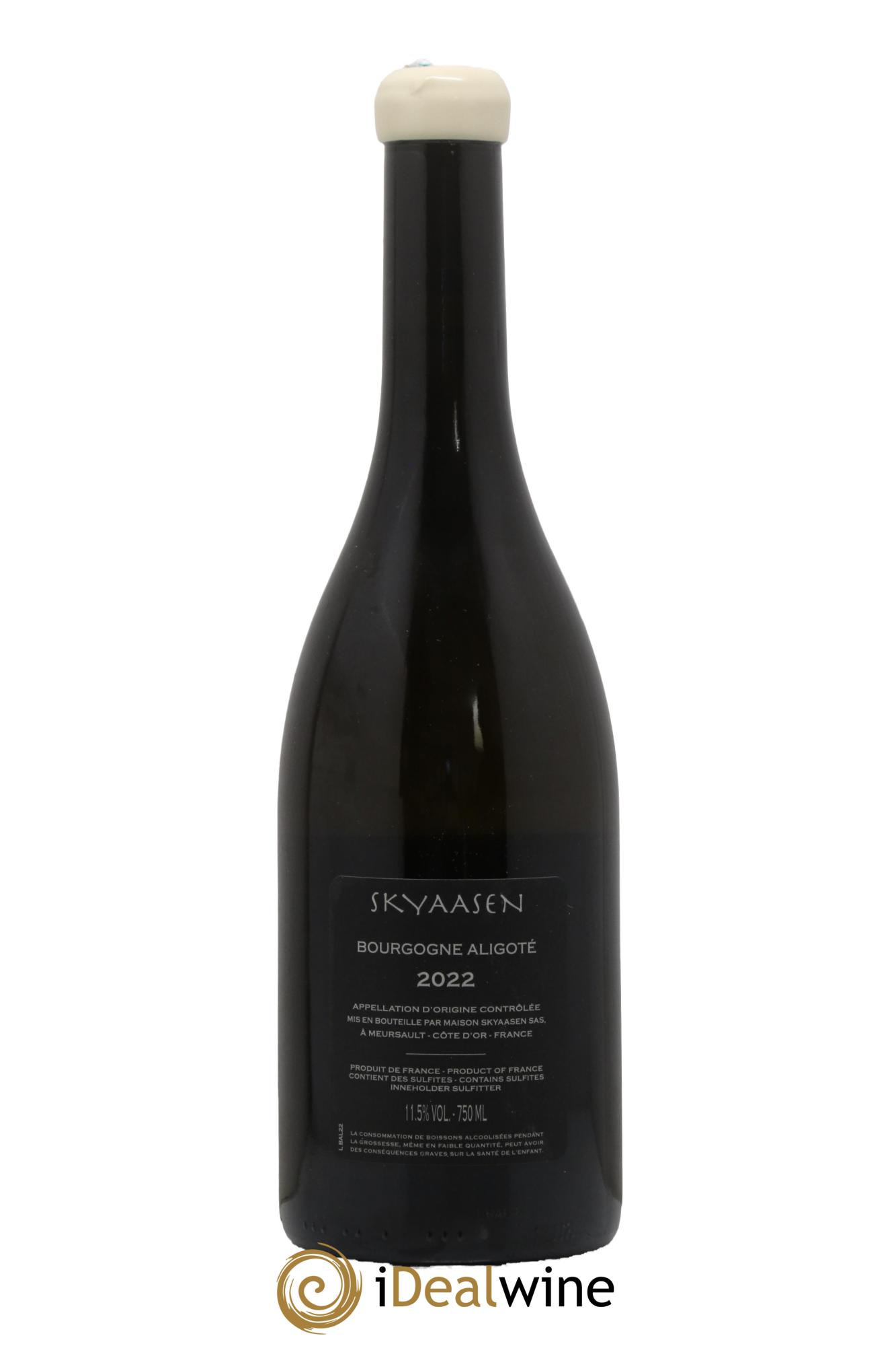Bourgogne Aligoté Maison Skyaasen  2022 - Lot de 1 bouteille - 1