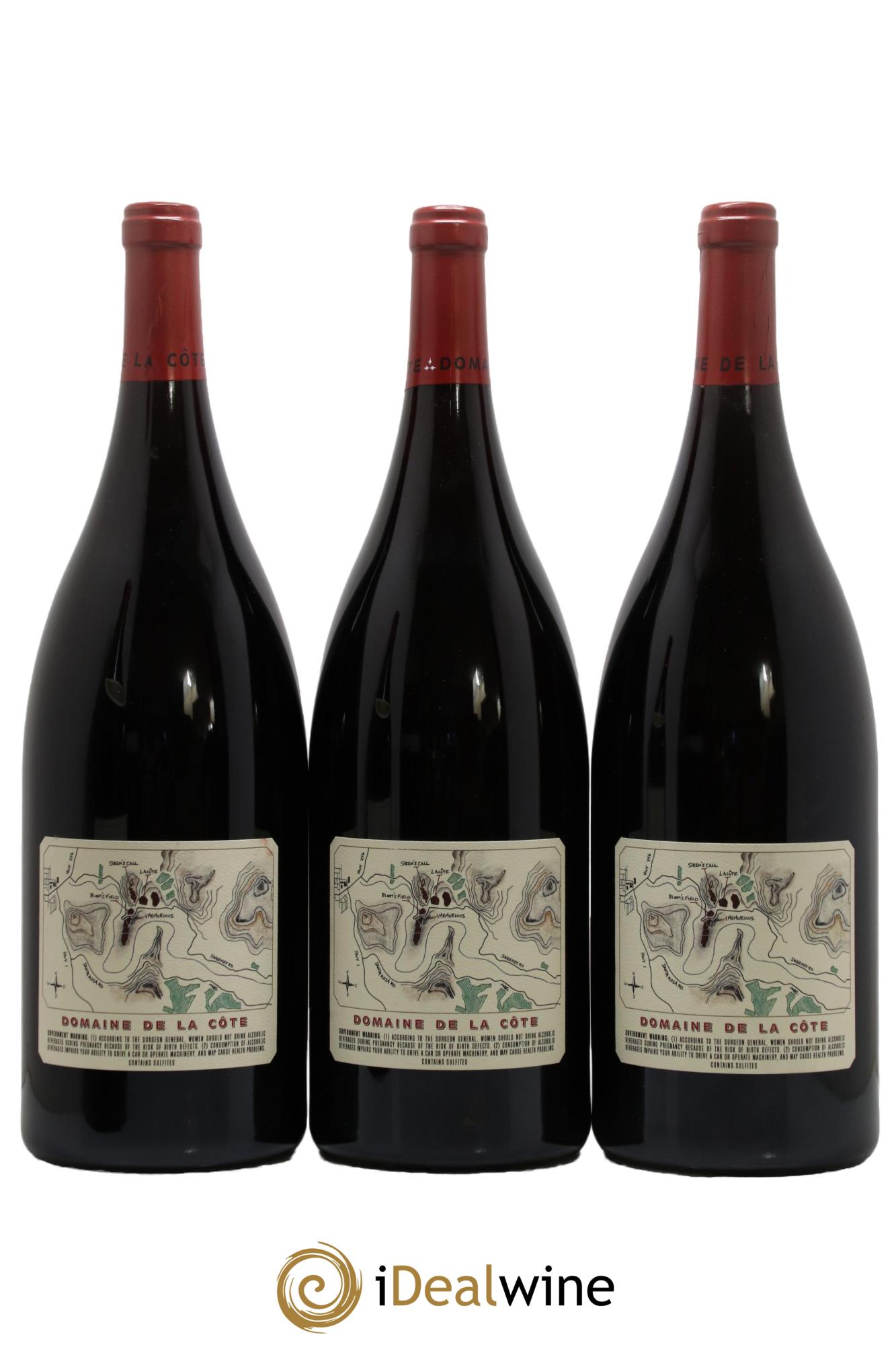 Santa Rita Hills La Côte Pinot noir Domaine de la Côte - Rajat Parr  2015 - Posten von 3 Magnum - 1