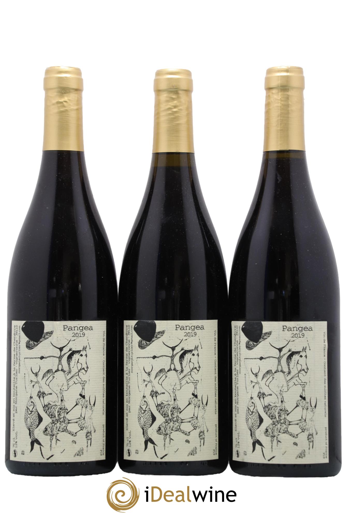 Vin de France Pangea Morgane Turlier 2019 - Lot de 3 bouteilles - 0