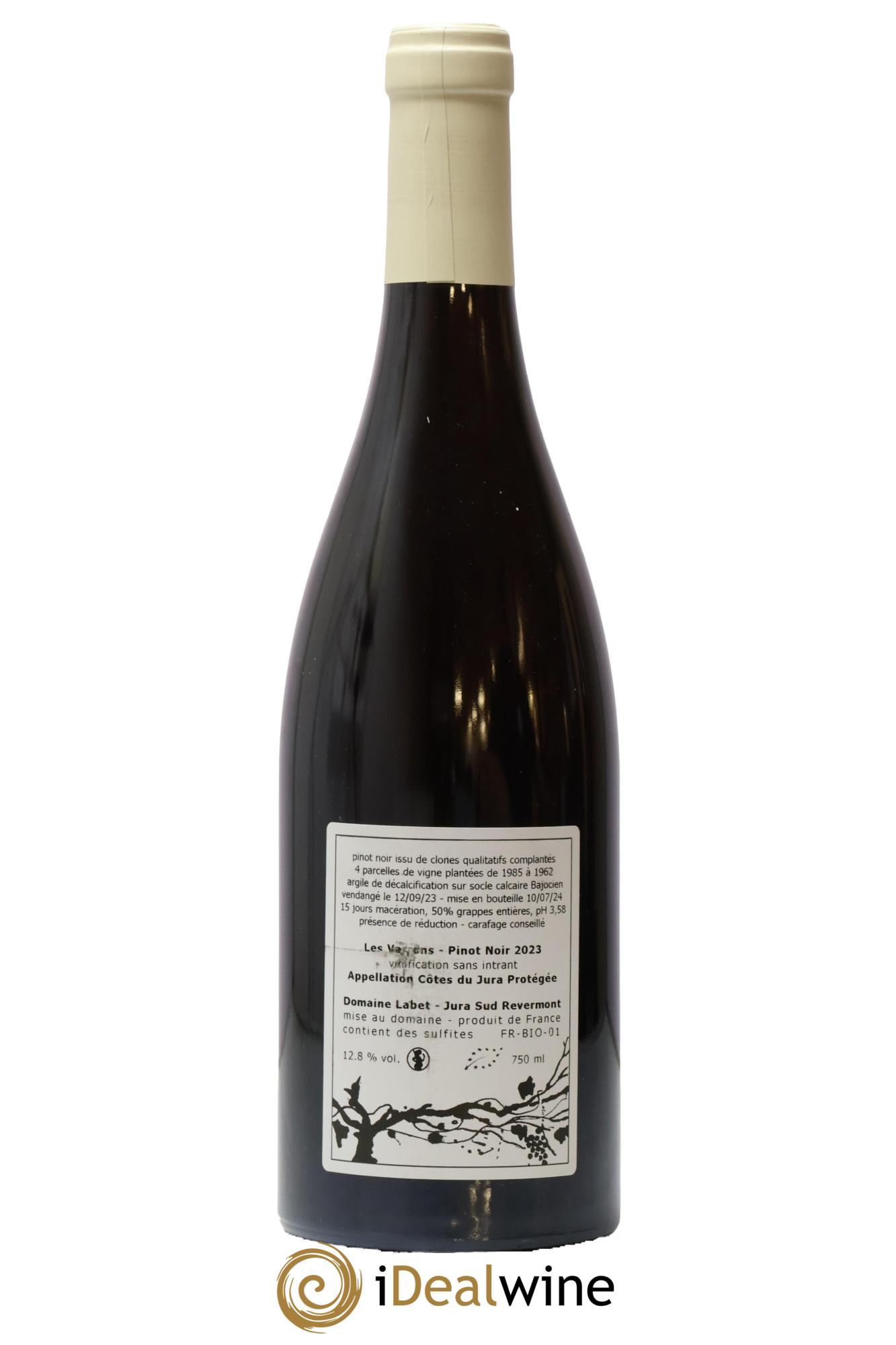 Côtes du Jura Pinot Noir Les Varrons Sélection Massale Romain - Julien  - Charline Labet  2023 - Lot of 1 bottle - 1