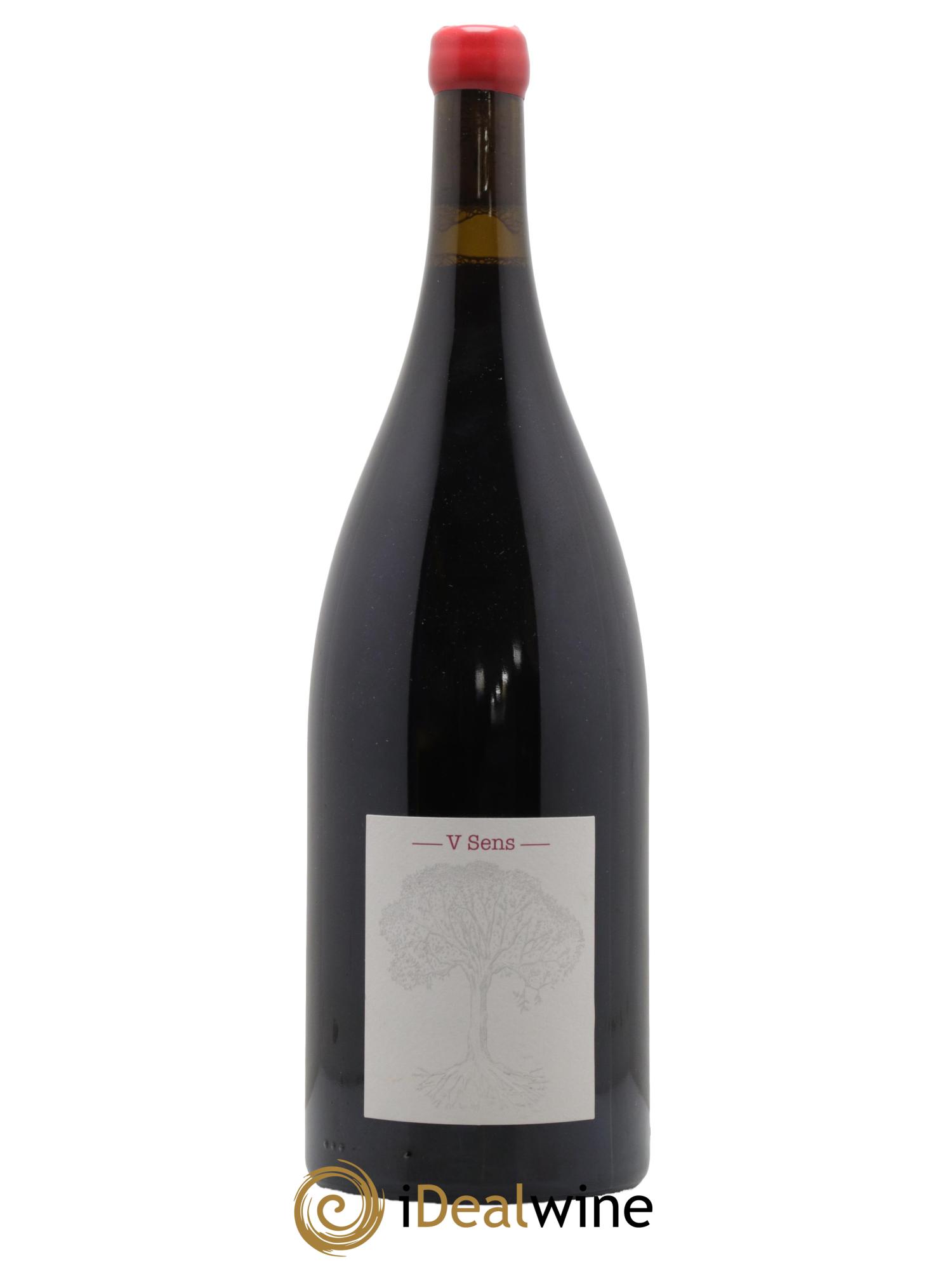Vin de France V Sens Jérôme Bretaudeau - Domaine de Bellevue 2020 - Lot de 1 magnum - 0