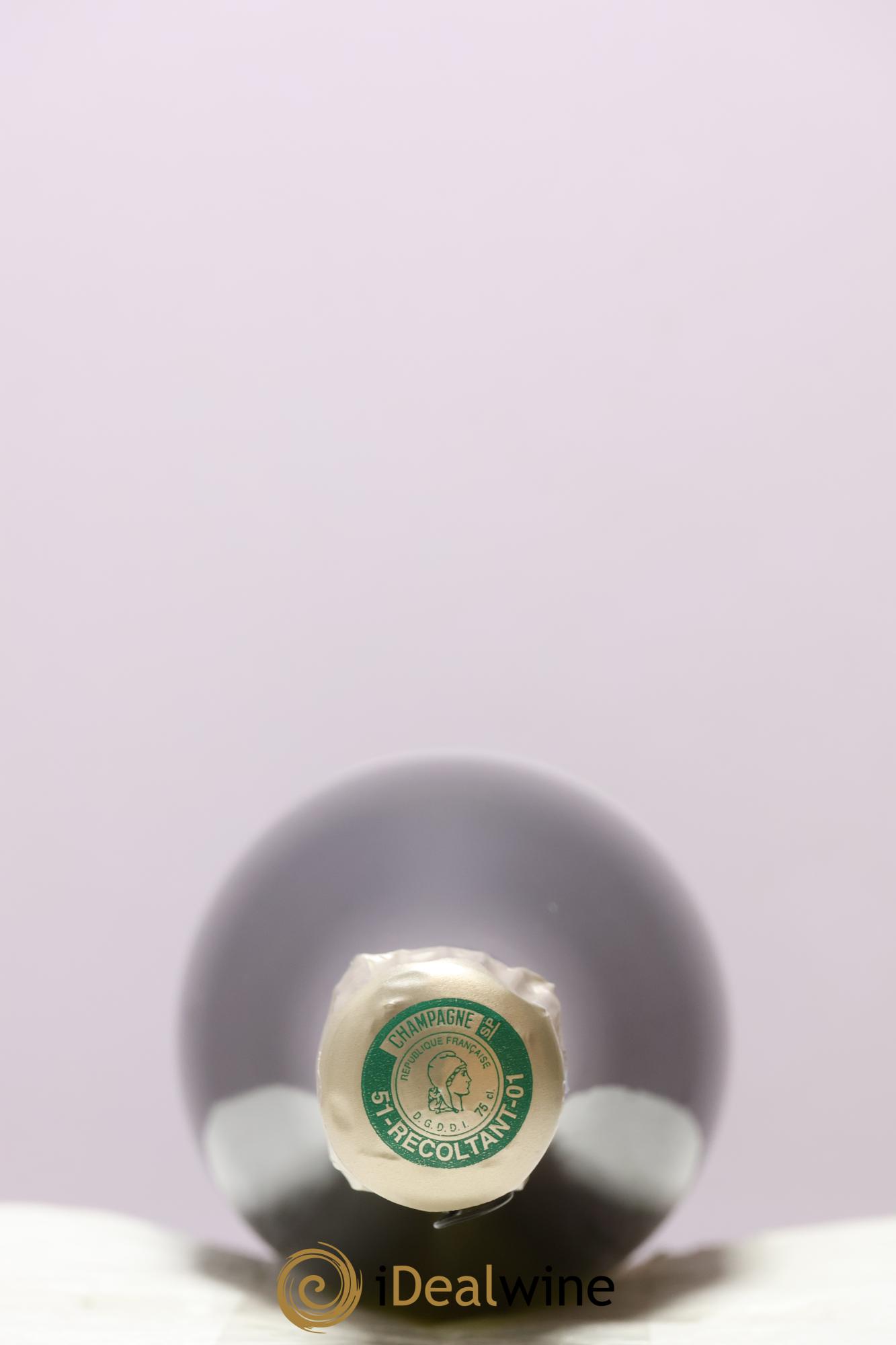 Version Originale Jacques Selosse - Posten von 1 Flasche - 2