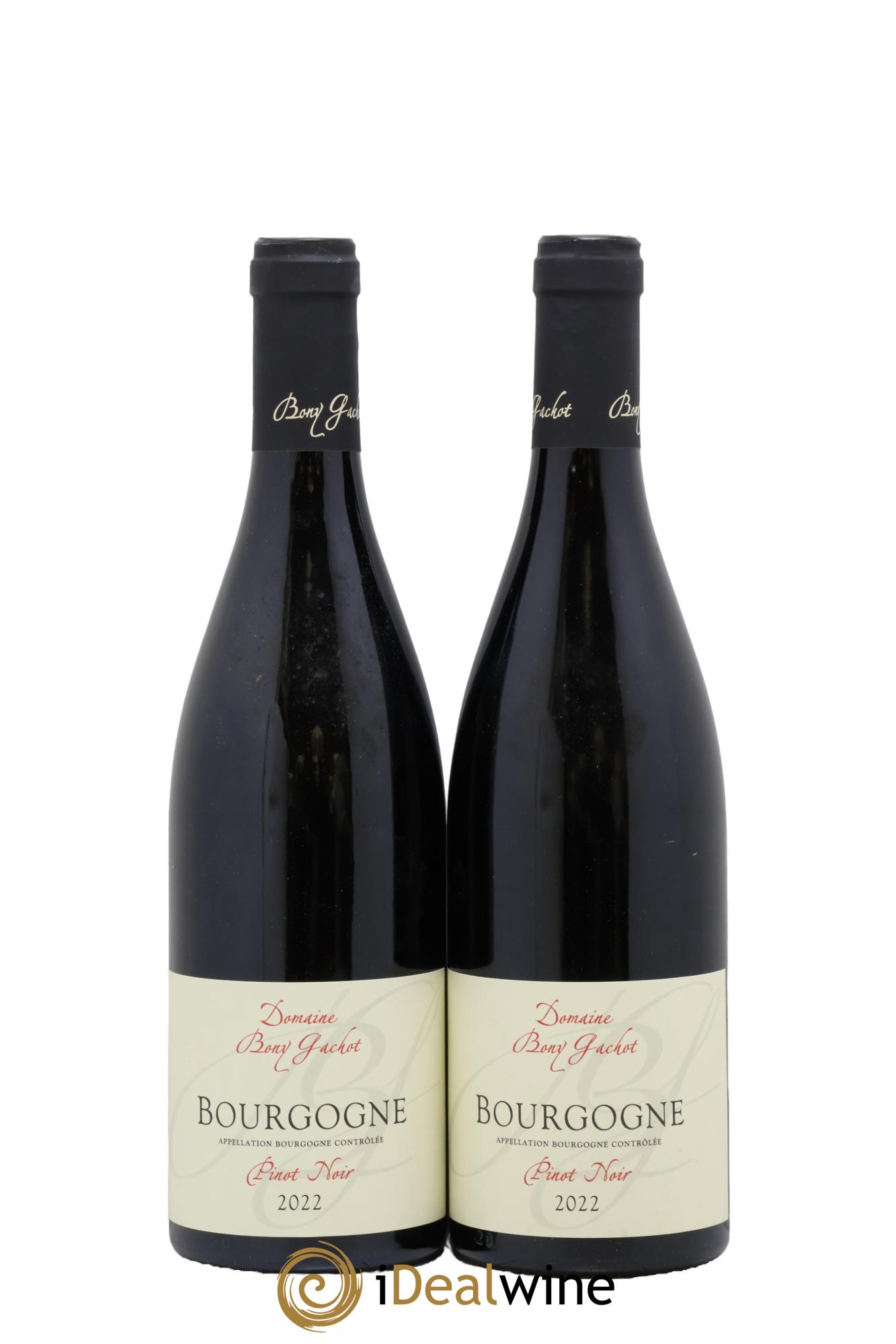 Bourgogne Côte D'Or Bony Gachot 2022 - Lot of 2 bottles - 0