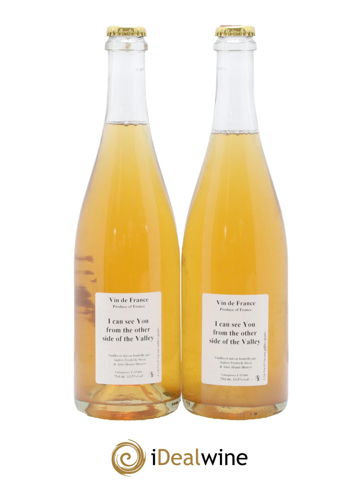 Vin de France I Can See You From The Other Side Of The Valley Anders Frederik Steen 2019 - Lotto di 2 bottiglie - 0