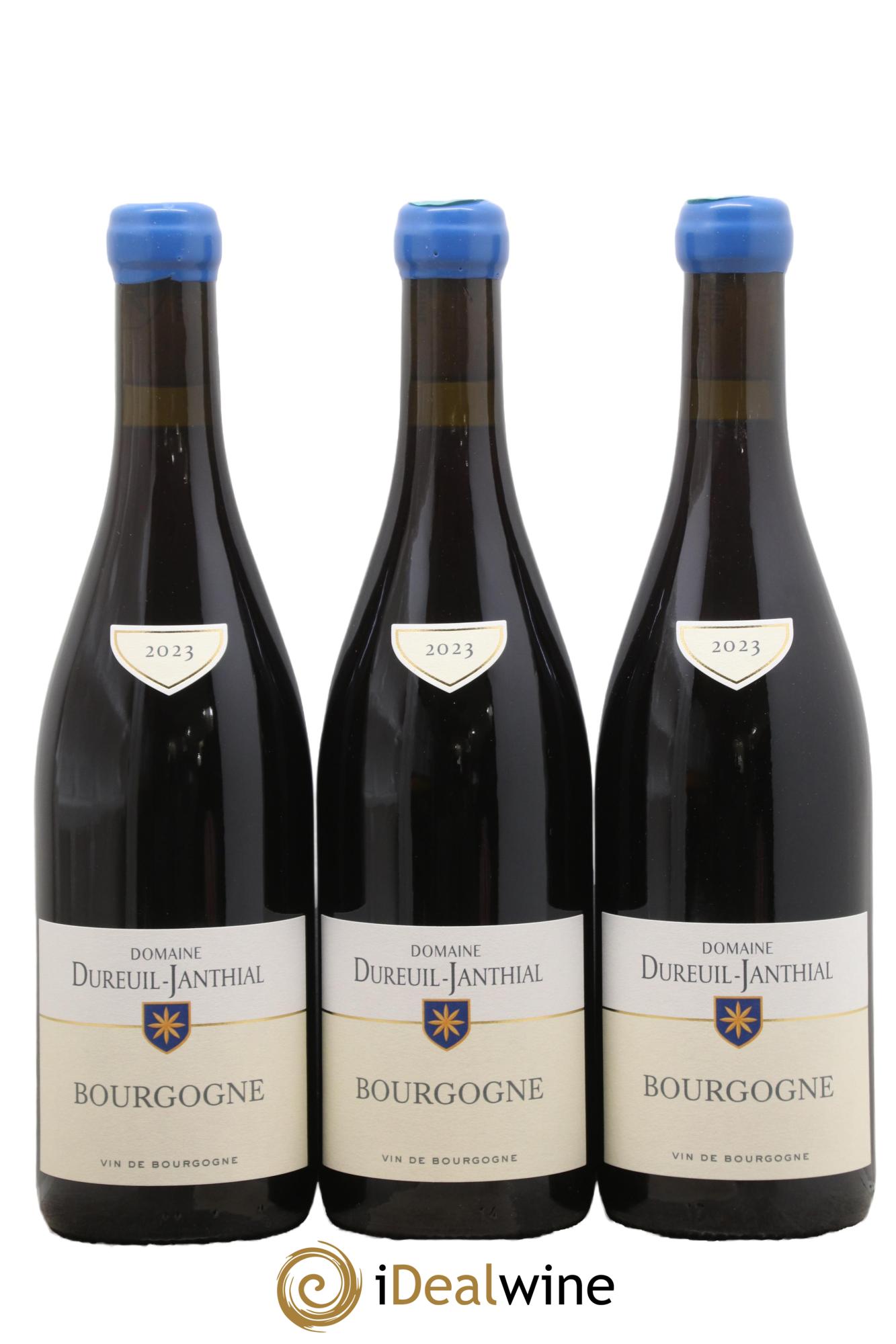 Bourgogne Pinot Noir Vincent Dureuil-Janthial 2023 - Posten von 3 Flaschen - 0