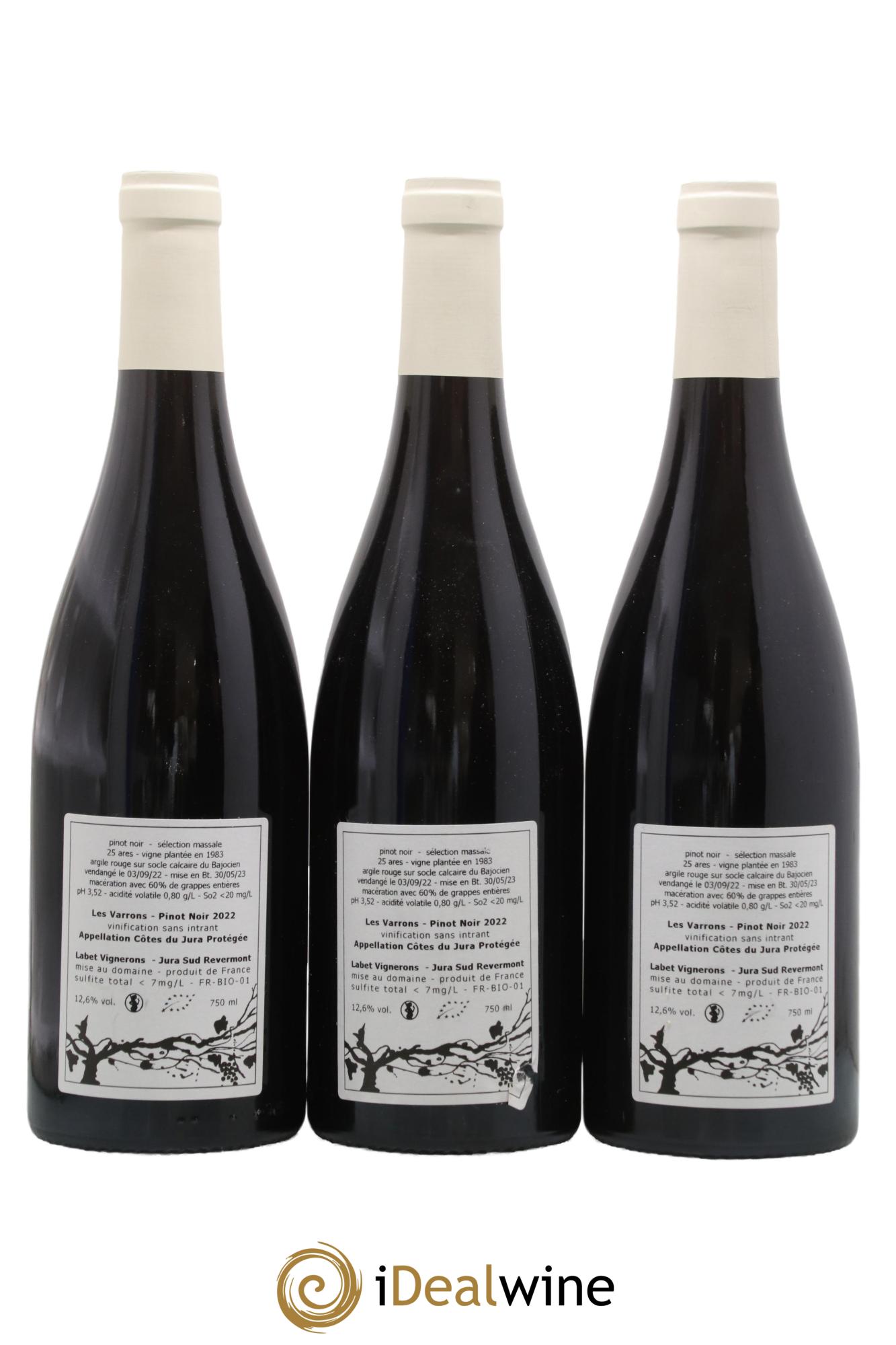 Côtes du Jura Pinot Noir Les Varrons Sélection Massale Romain - Julien - Charline Labet 2022 - Lot de 3 bouteilles - 1
