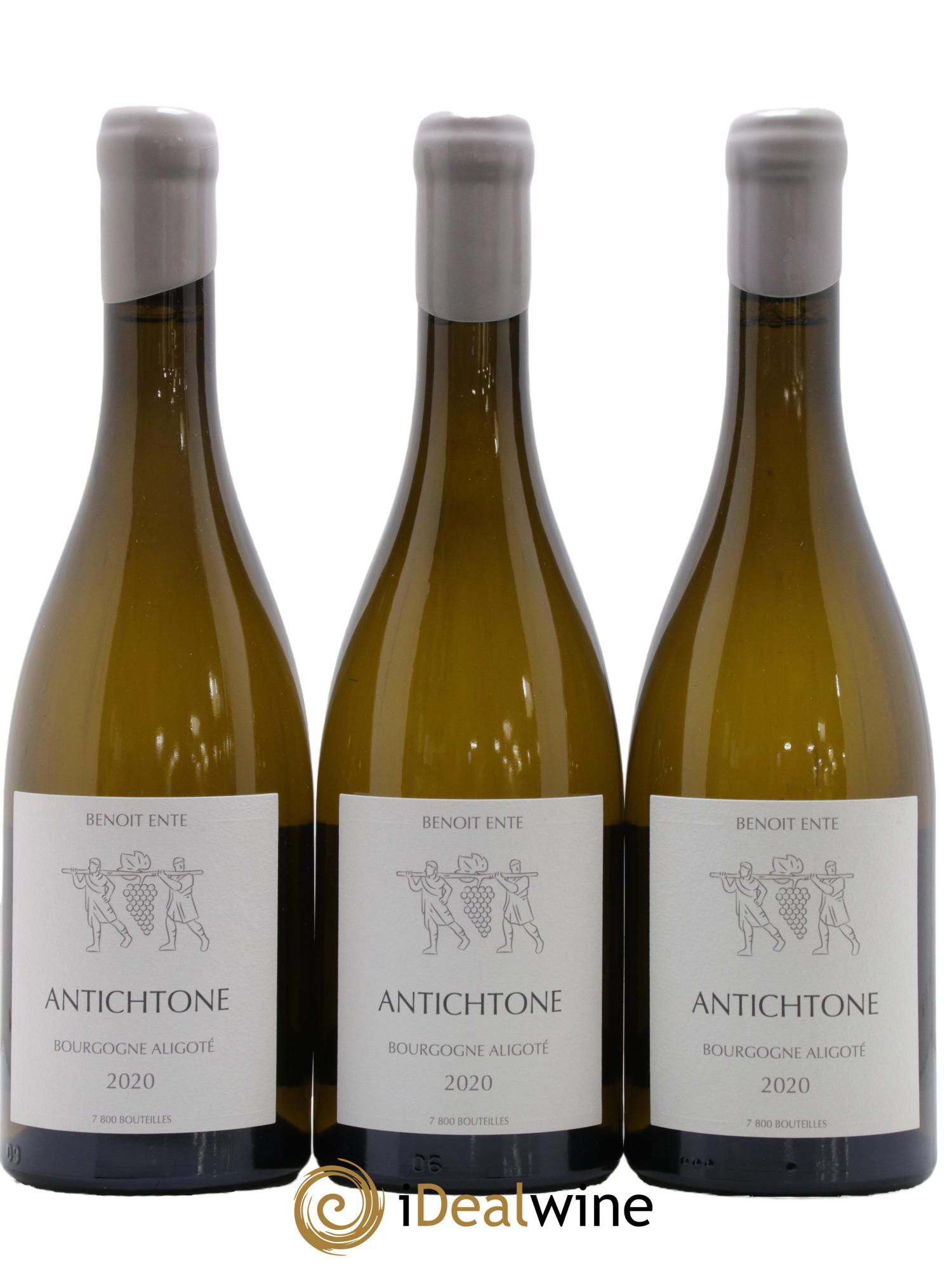 Bourgogne Aligoté Antichtone Benoit Ente 2020 - Lot de 3 bouteilles - 0