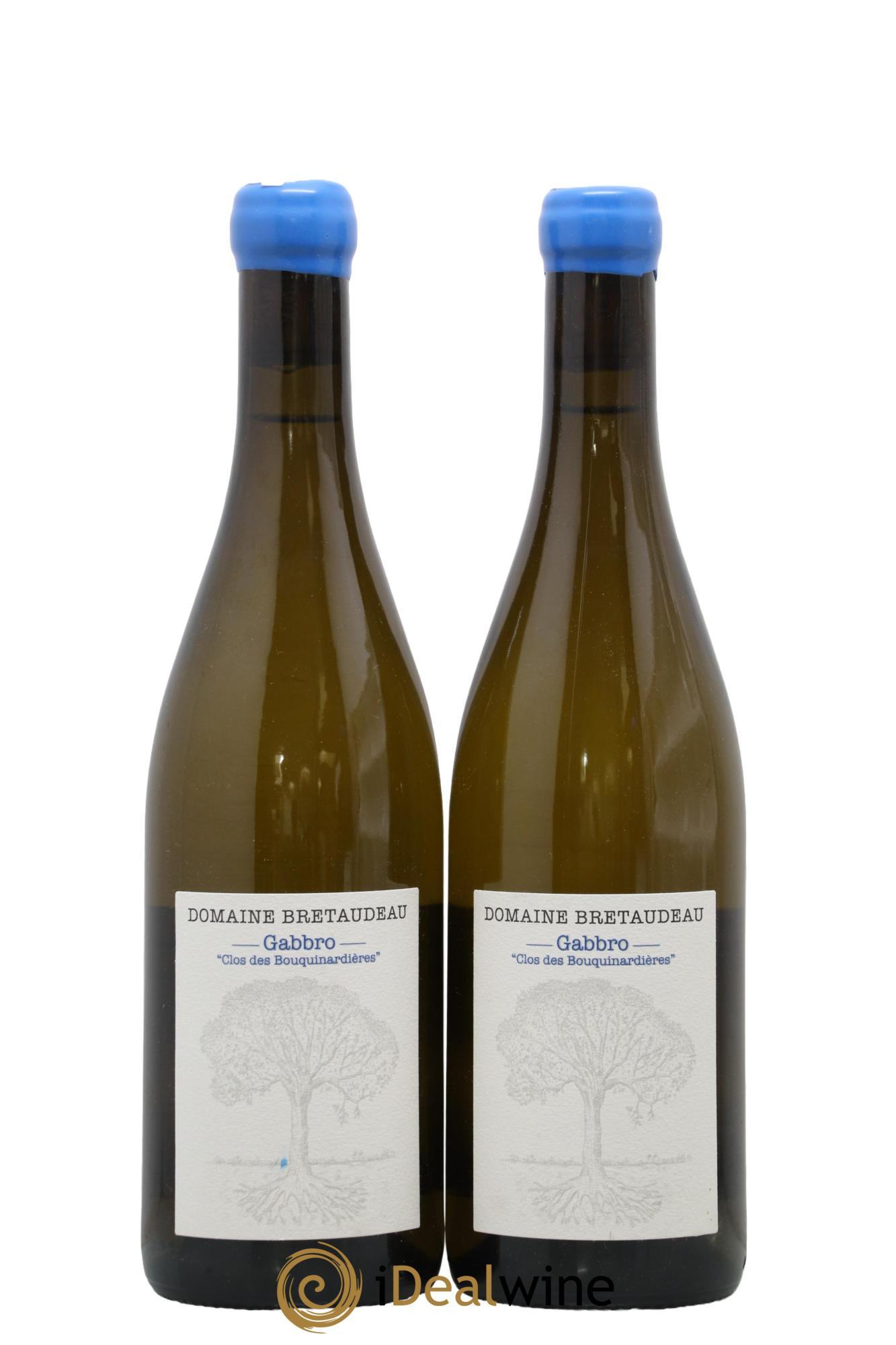 Muscadet-Sèvre-et-Maine Gabbro Clos des Bouquinardières Jérôme Bretaudeau - Domaine de Bellevue 2023 - Lot of 2 bottles - 0