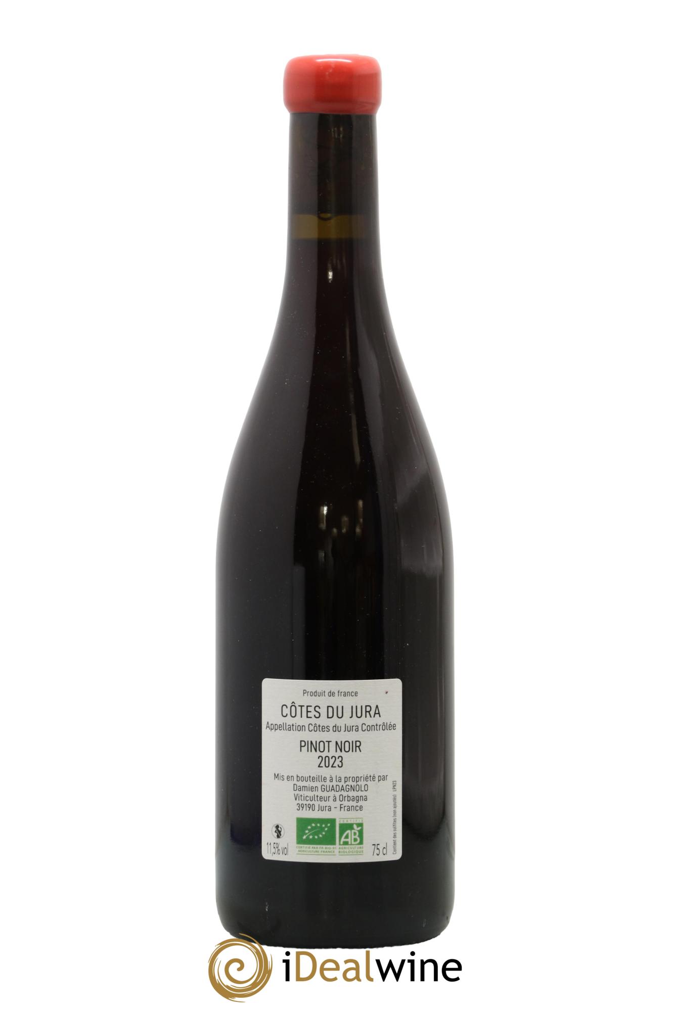 Côtes du Jura Pinot Noir Damien Guadagnolo 2023 - Lot de 1 bouteille - 1