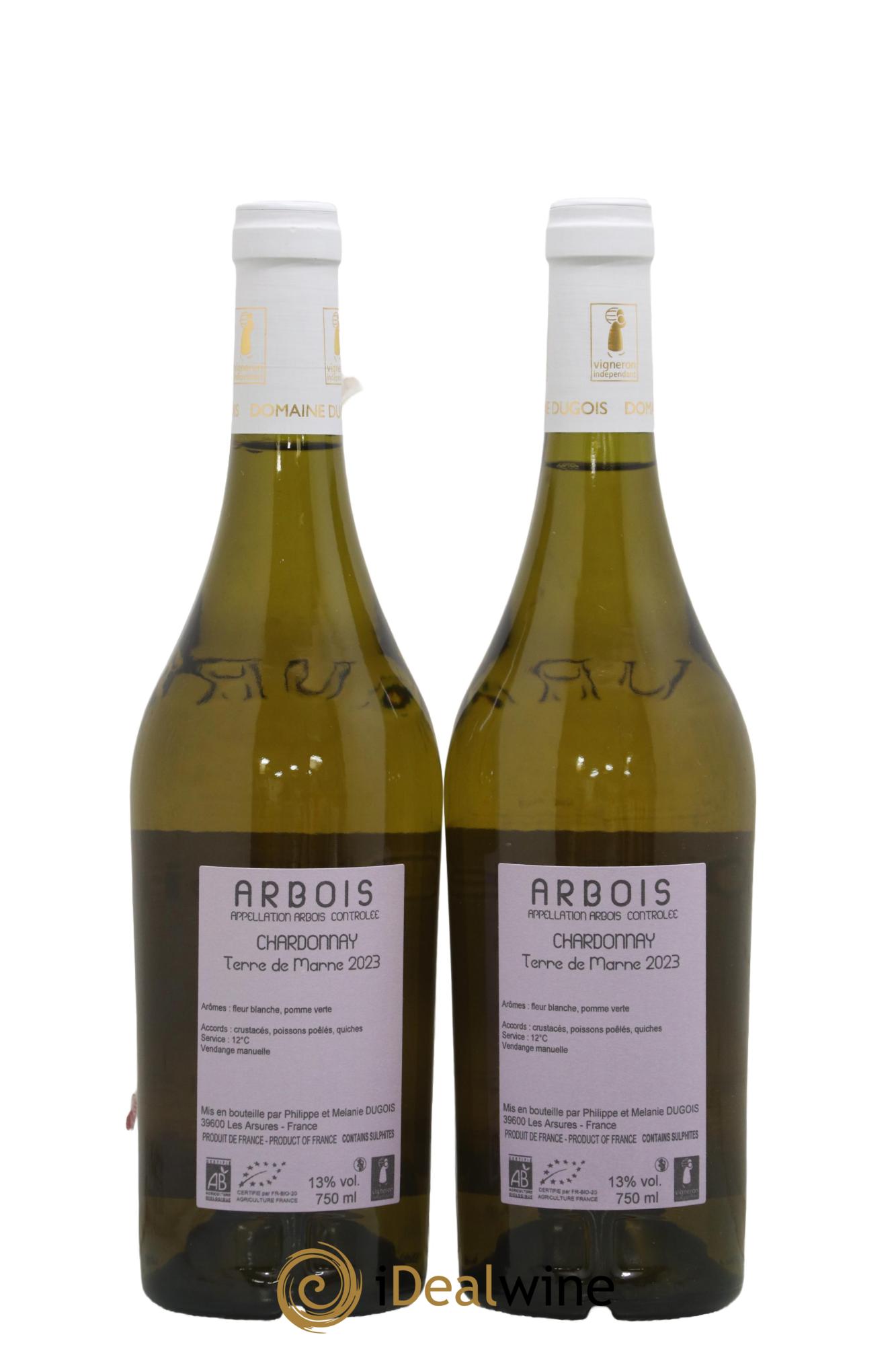 Arbois Chardonnay Terre de Marne Domaine Dugois 2023 - Posten von 2 Flaschen - 1