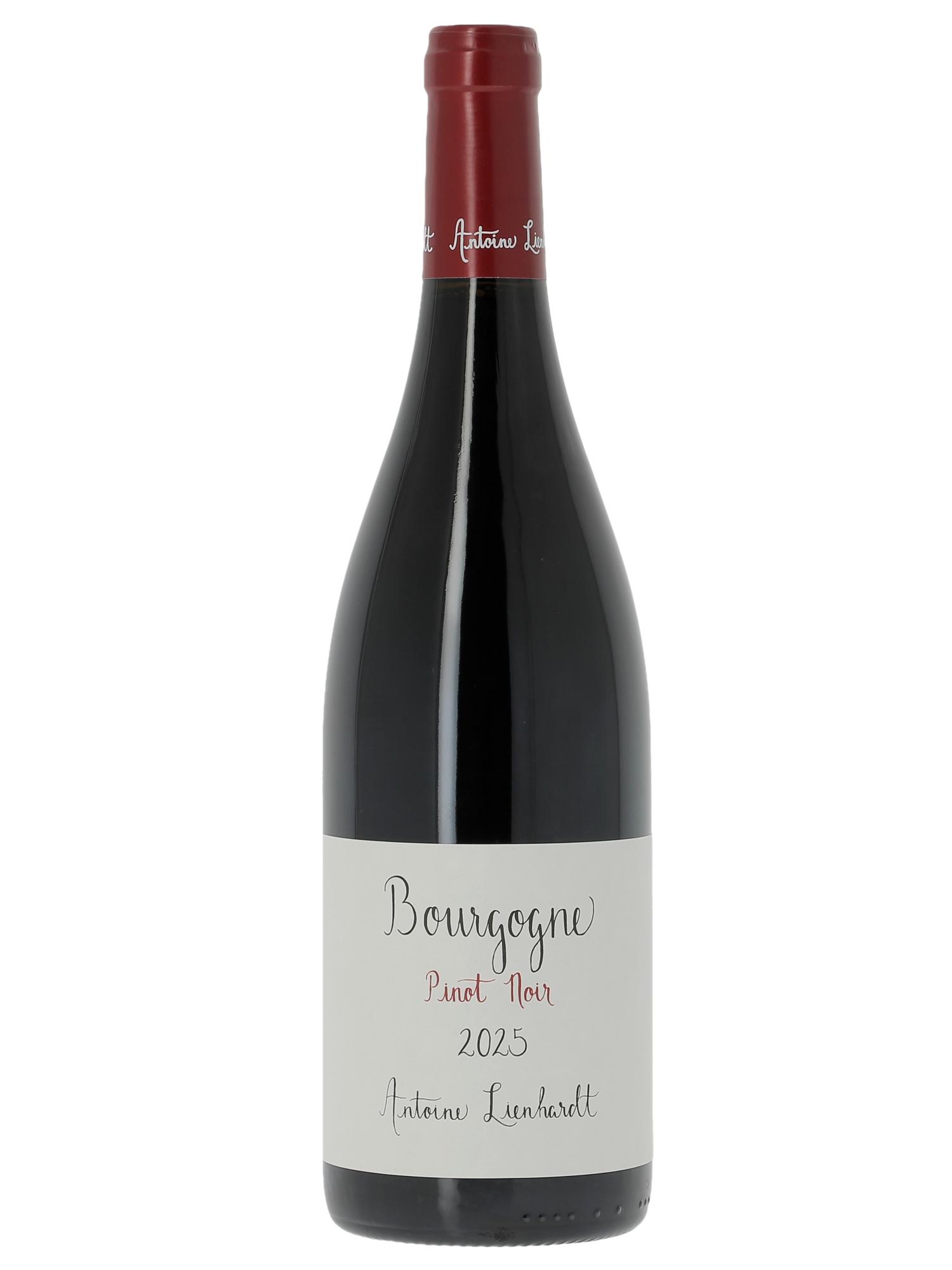 Bourgogne Pinot Noir Antoine Lienhardt 2025 - Lote de 1 botella - 0